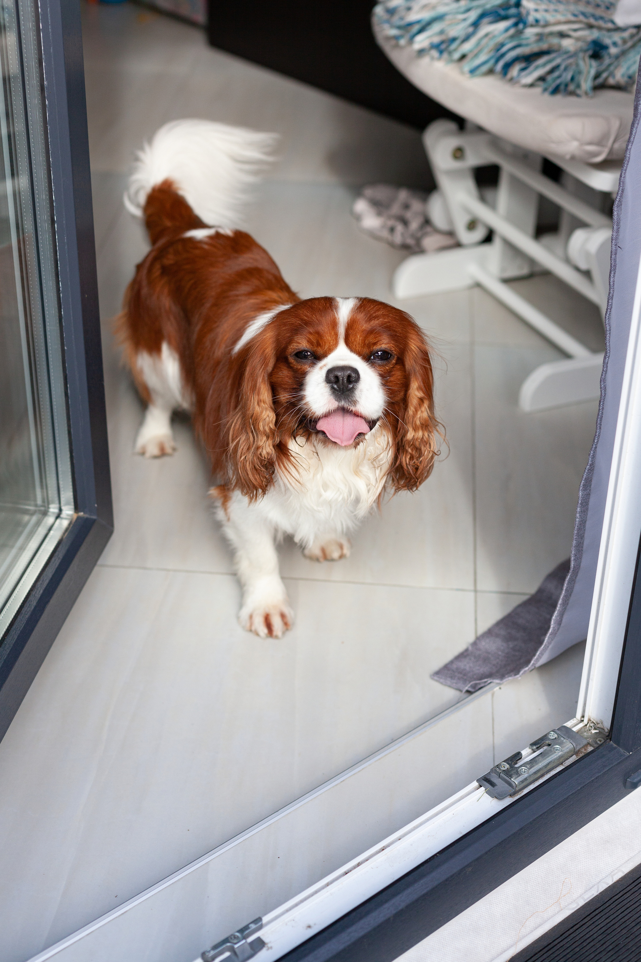 Фотосессия на день рождения ребенка. Детский и контент фотограф Надя Волкова Санкт-Петербург