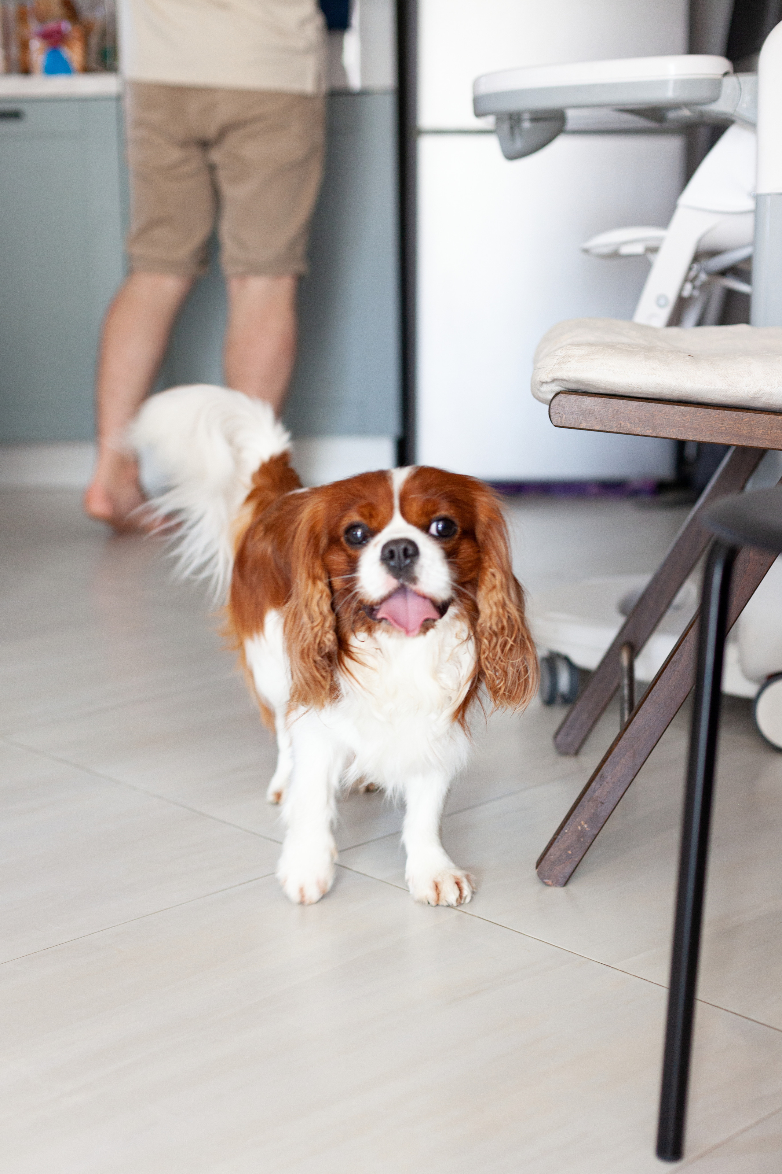 Фотосессия на день рождения ребенка. Детский и контент фотограф Надя Волкова Санкт-Петербург