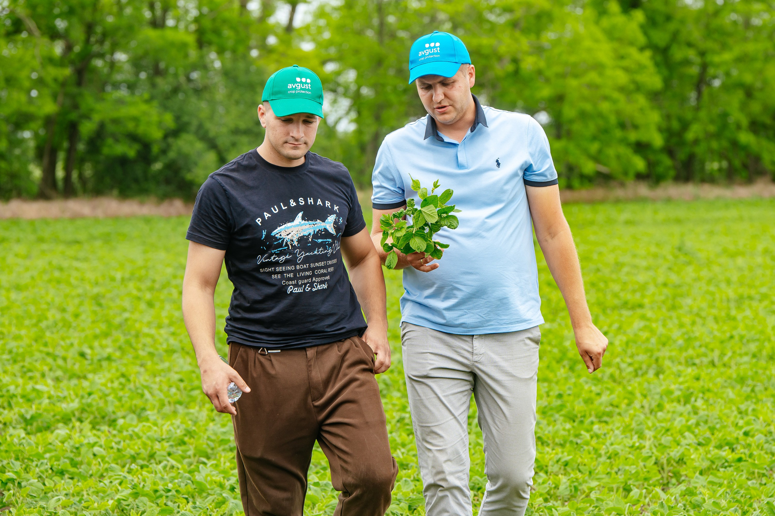 День поля. Главная