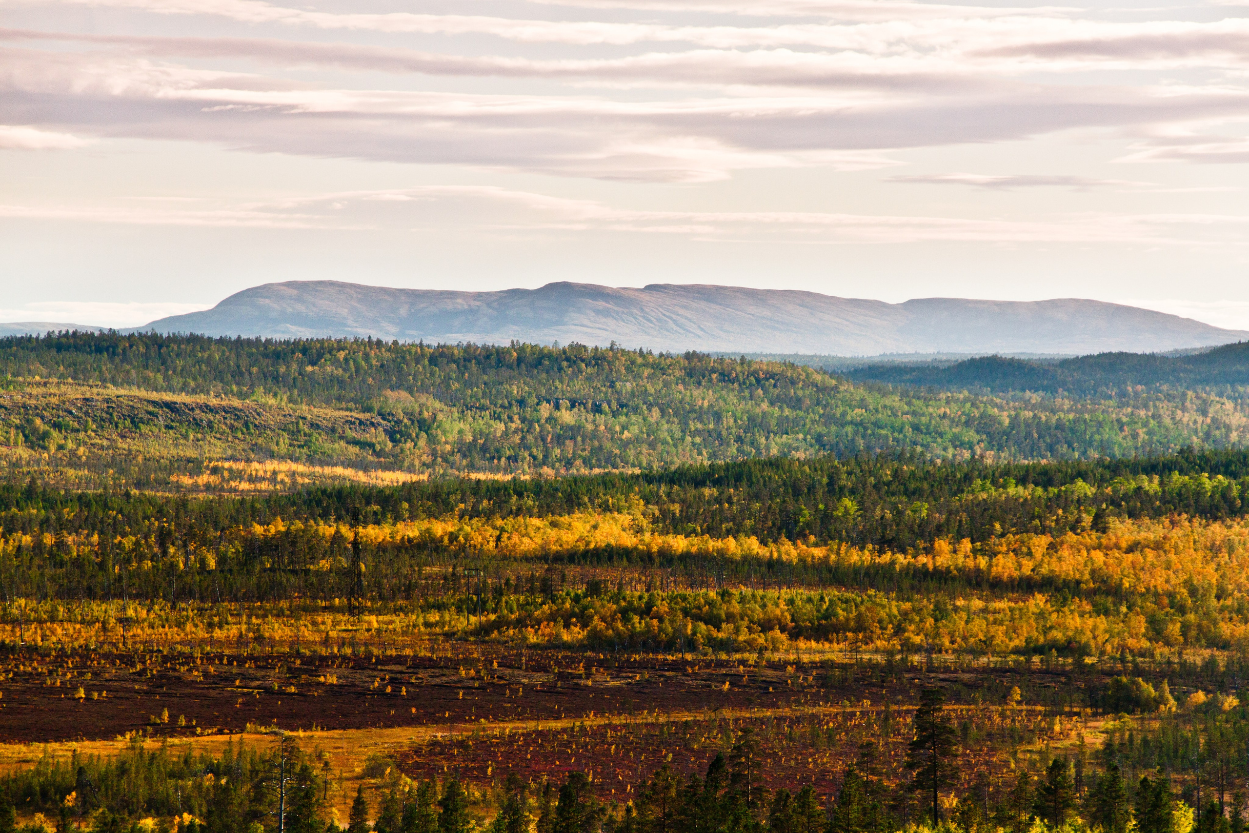 Тундра Лес и Сопки. Пейзажи Крайнего Севера. Баренцево море, Рыбачий, Средний, Немецкий
