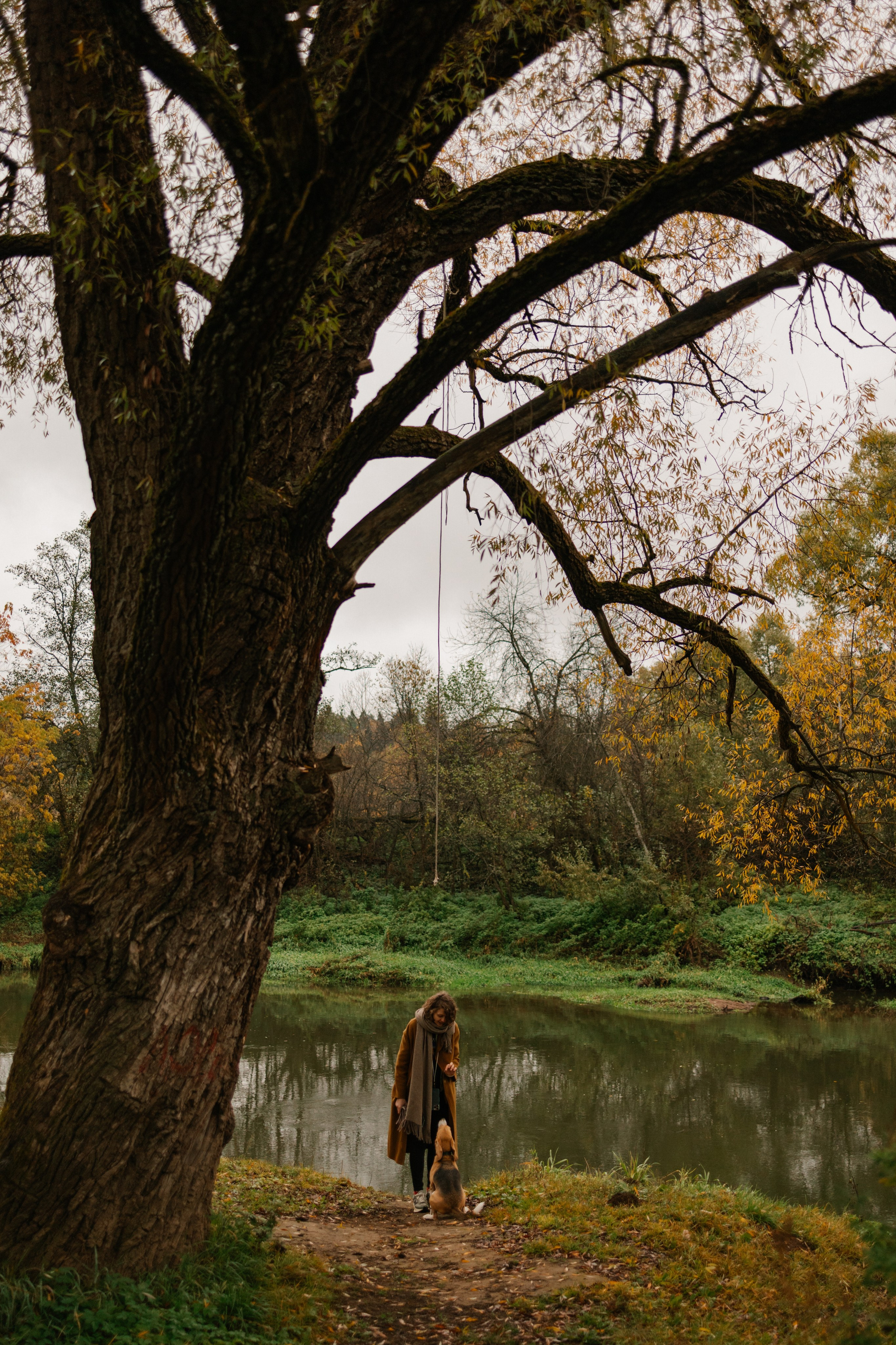 Лена и Тайгер. Фотограф — Анималист | Санкт-Петербург