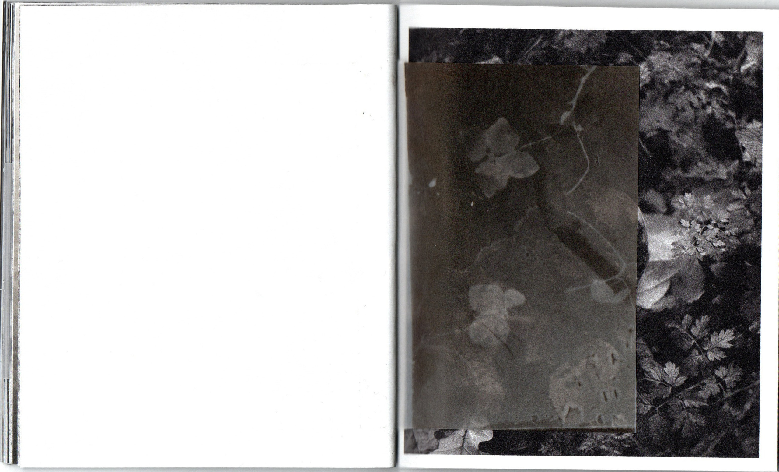 Куда ночь, туда и сон. Фотограф Анна Кирнос