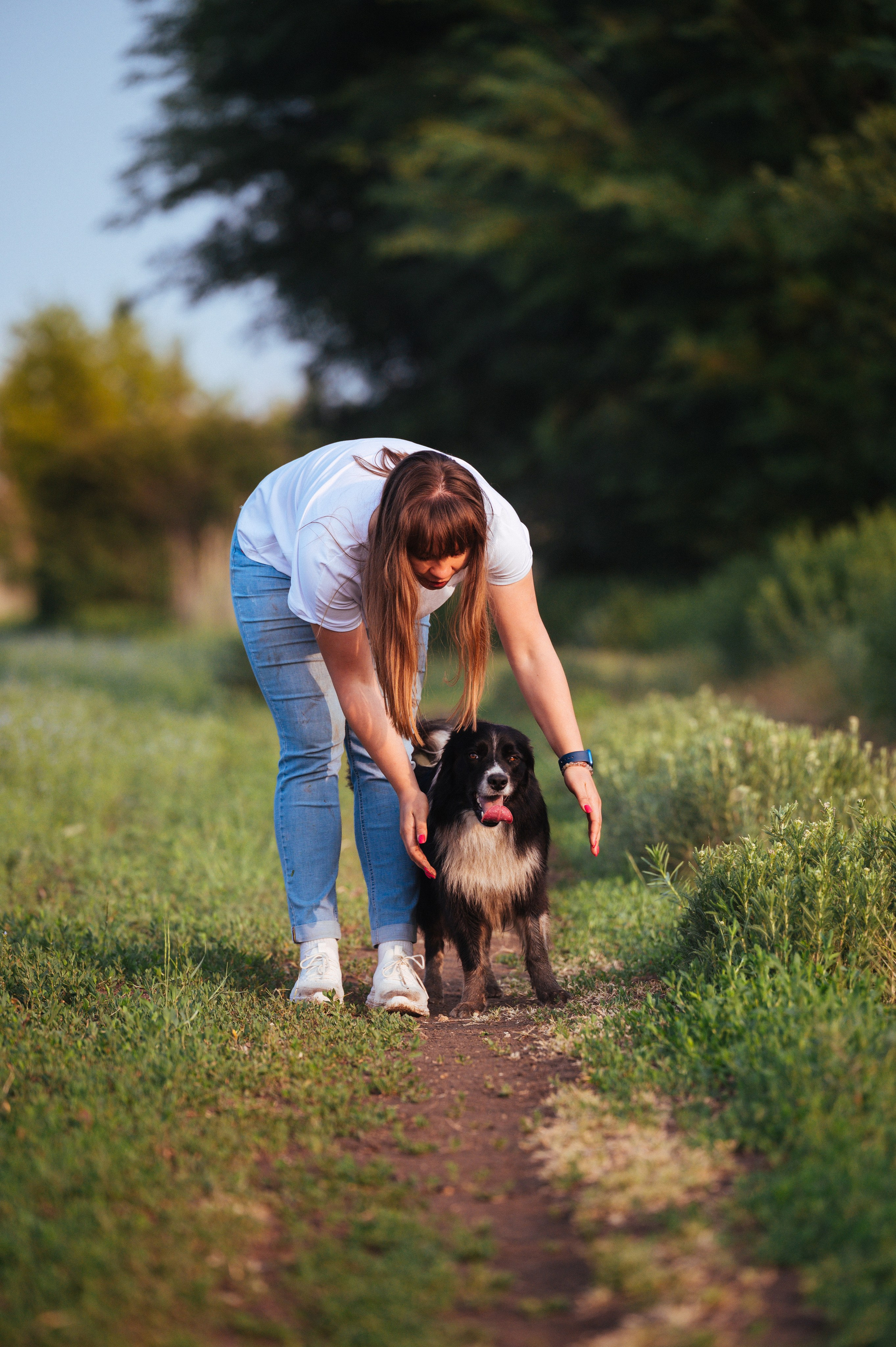Прогулка на рассвете с бордер-колли. Фотограф в Ростове —на — Дону