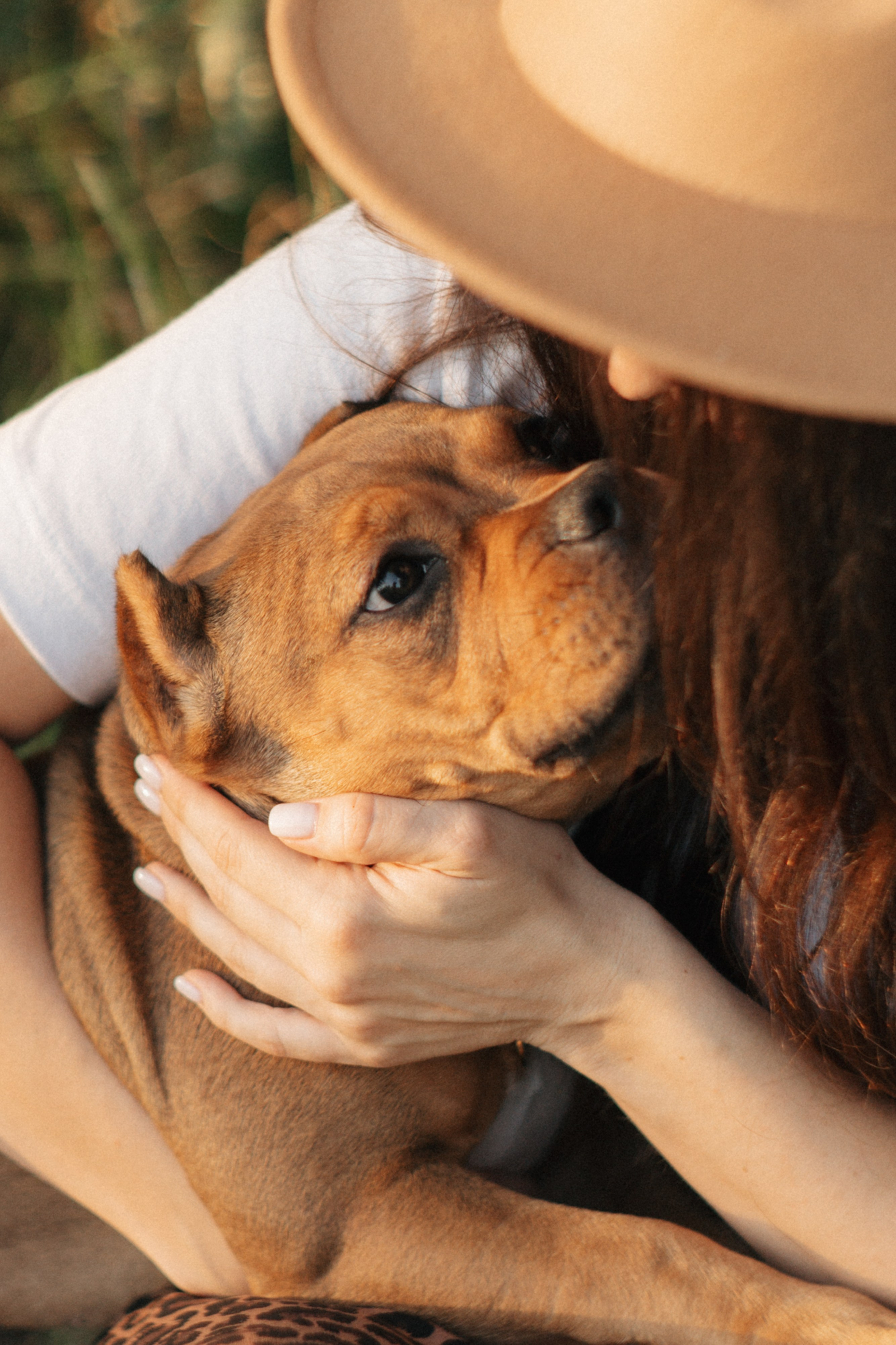 Кристина и Эфи. Фотограф анималист в Москве и Санкт-Петербурге Свиридова Анна