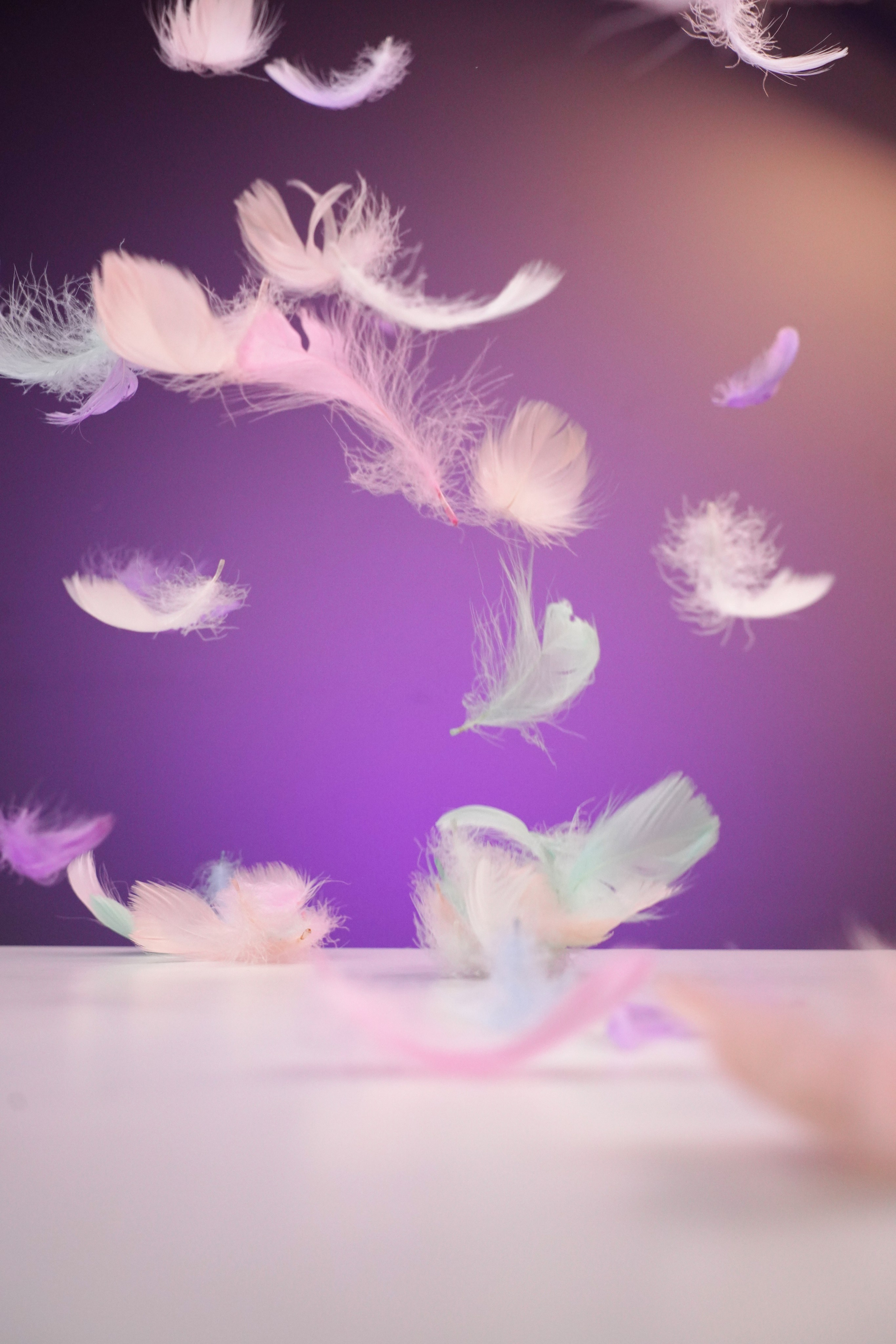 Предметная. Фотограф и видеограф DOSERZH (Добрин Сергей) в городе Москва и МО