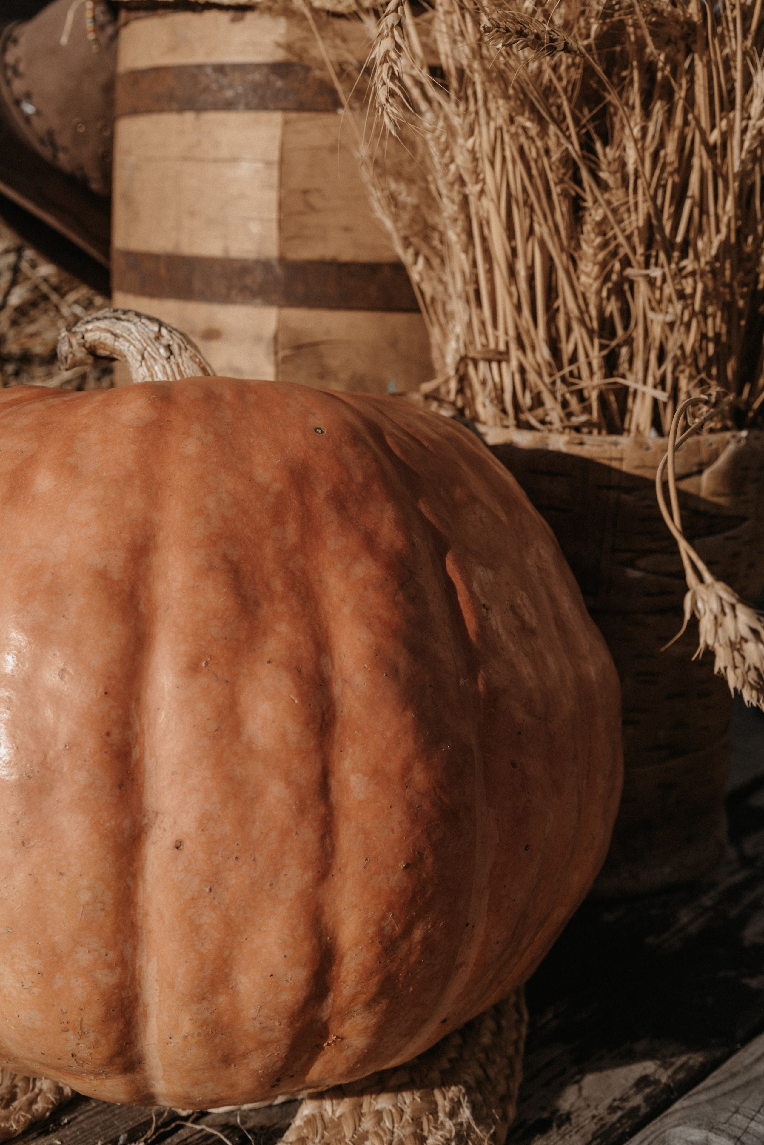 Корпоратив и оформление фотозоны в стиле ранчо). Фотограф Светлана Воронцова