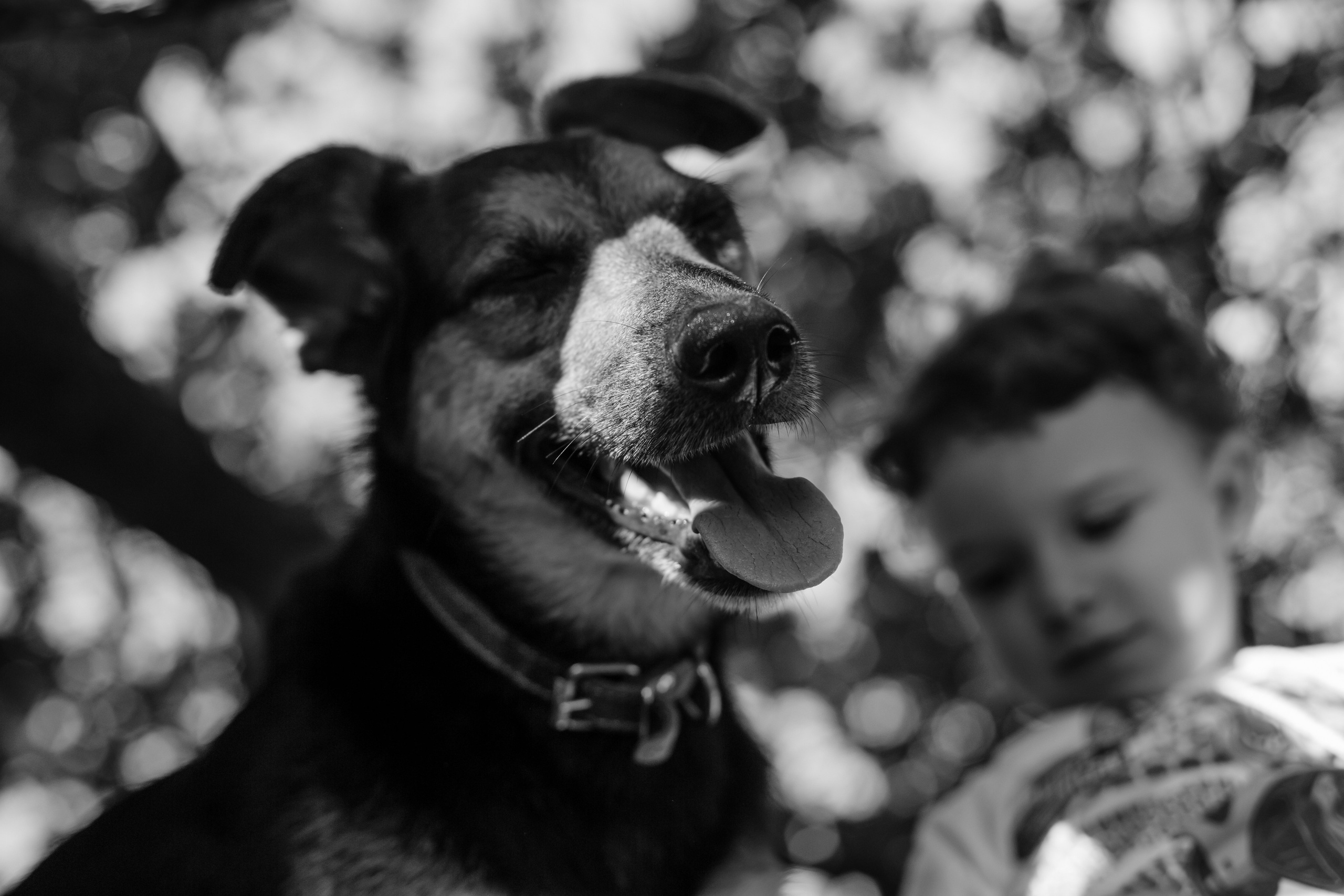 Ира, Саша, Ксюша, Макс. Фотограф Александра Рышкова