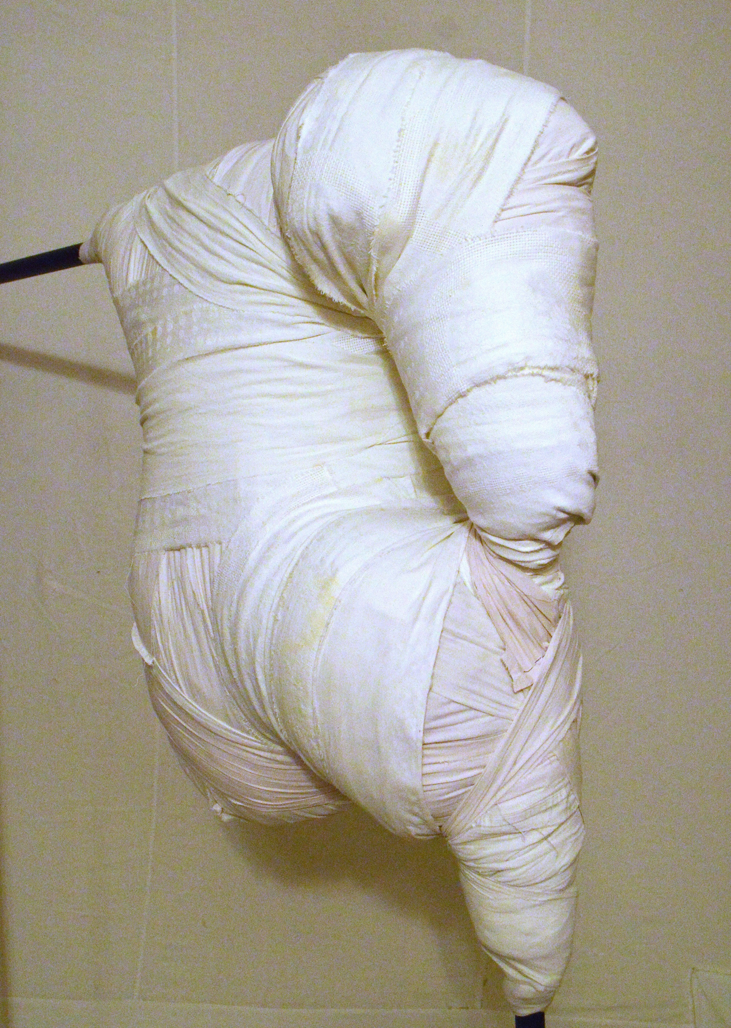 (Не)античные торсы 2025. Лилия Ким. Междисциплинарный художник