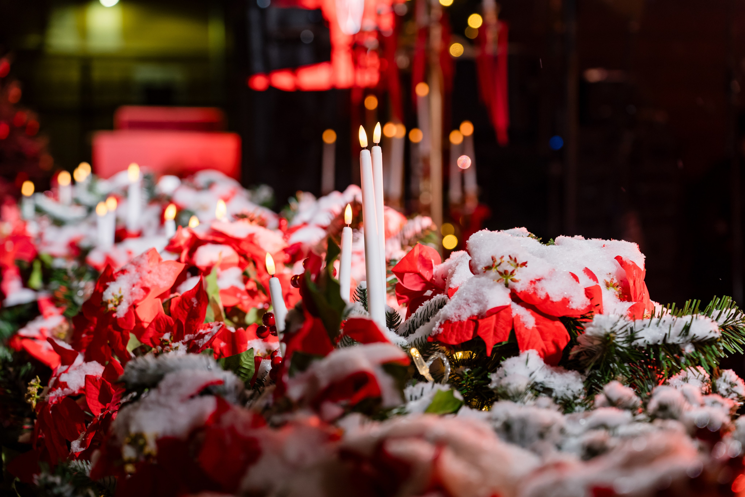 Ледяная симфония. Сад им. Баумана. 04.01.2025