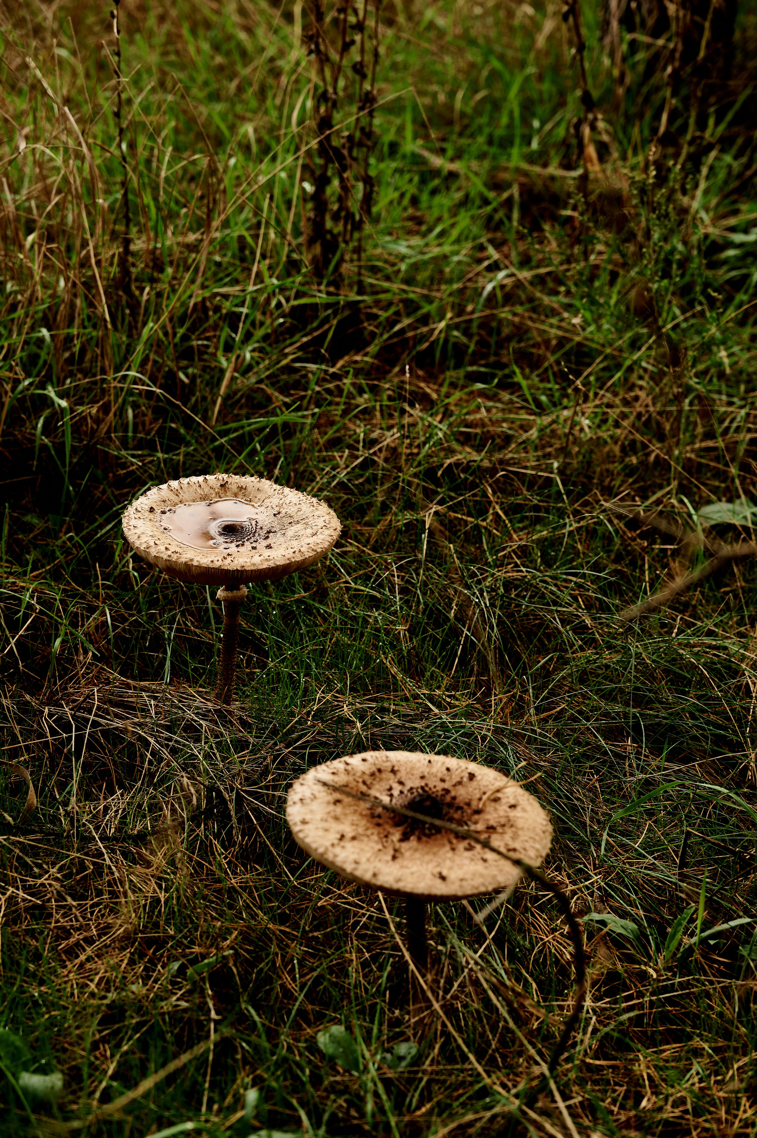 30 км Путь Героя по Чувашии. Мокринский мост. Коммерческий фотограф в Казани Ксения Добролюбова