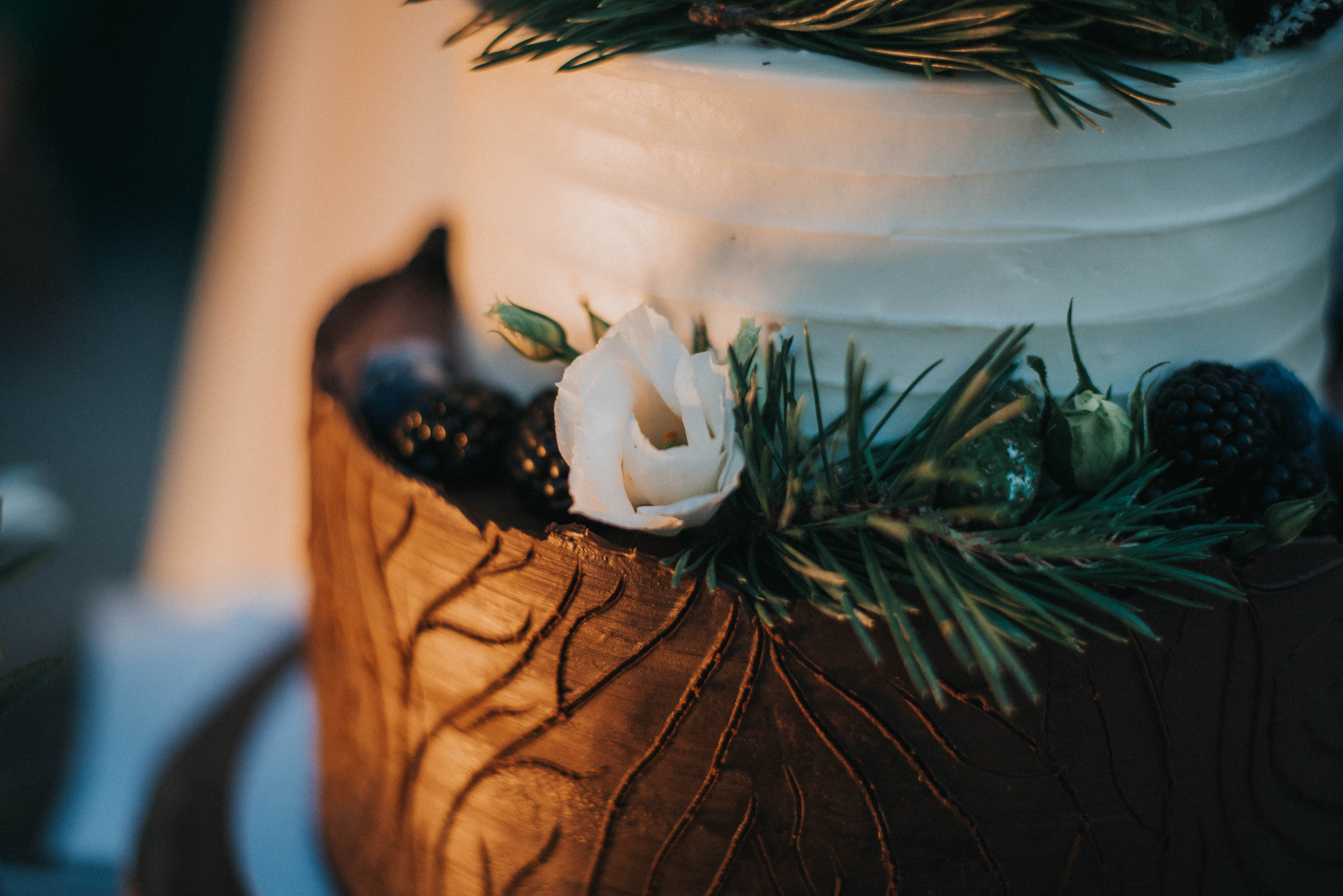 N & I. Фотограф Архангельск