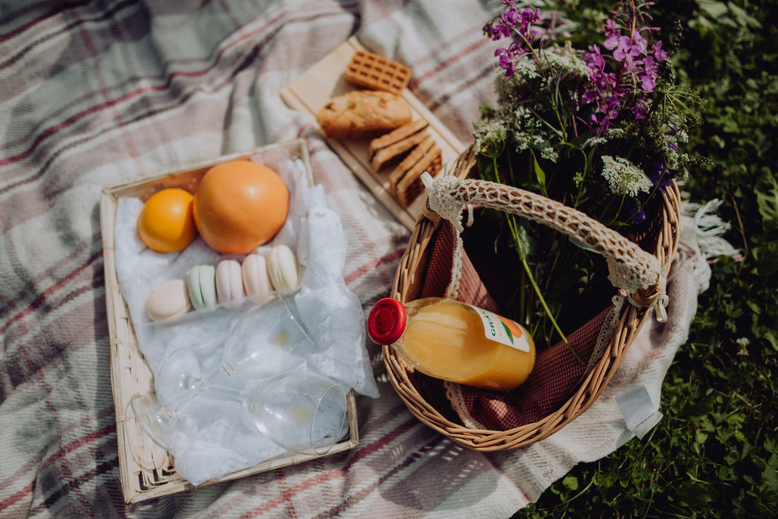 Пикник. Фотограф Архангельск