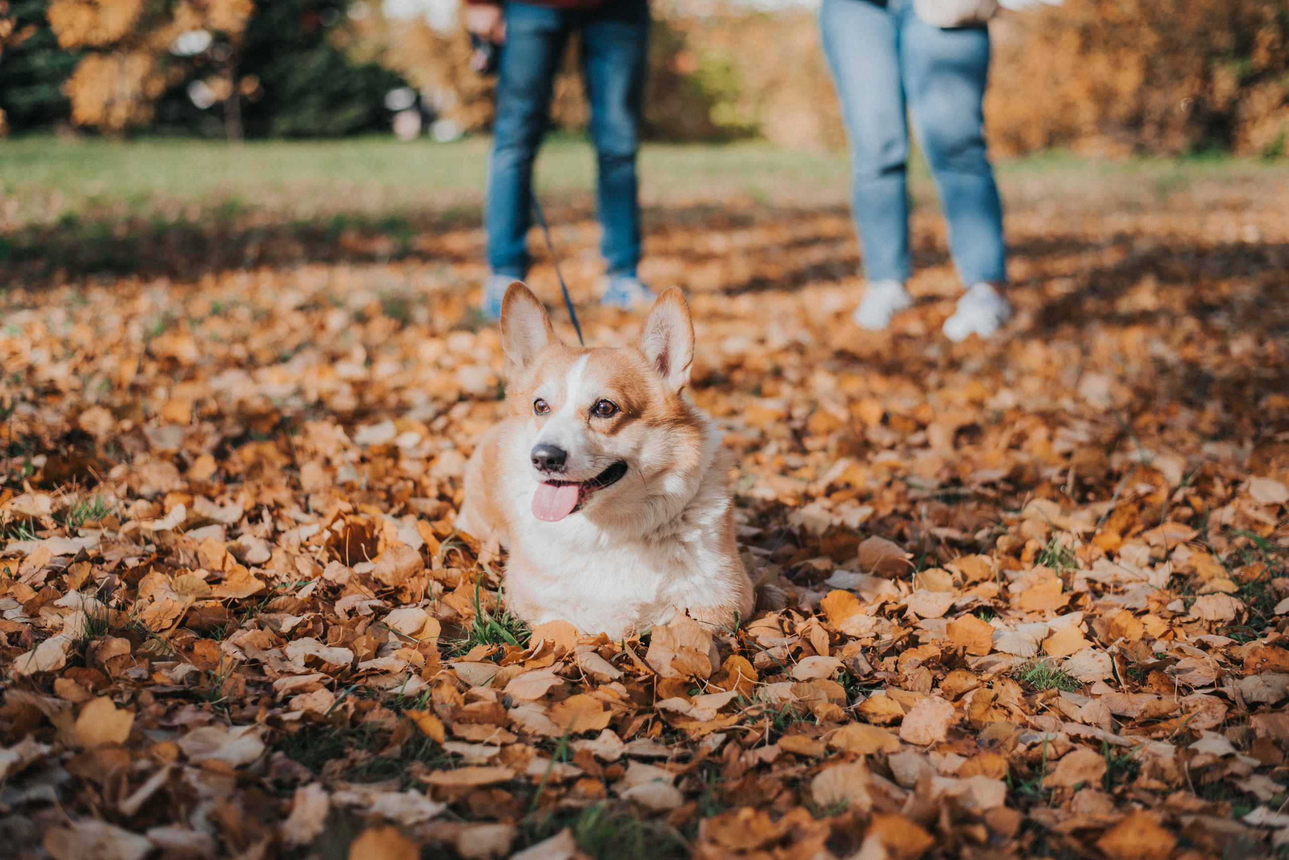 Шаня. Фотограф Архангельск