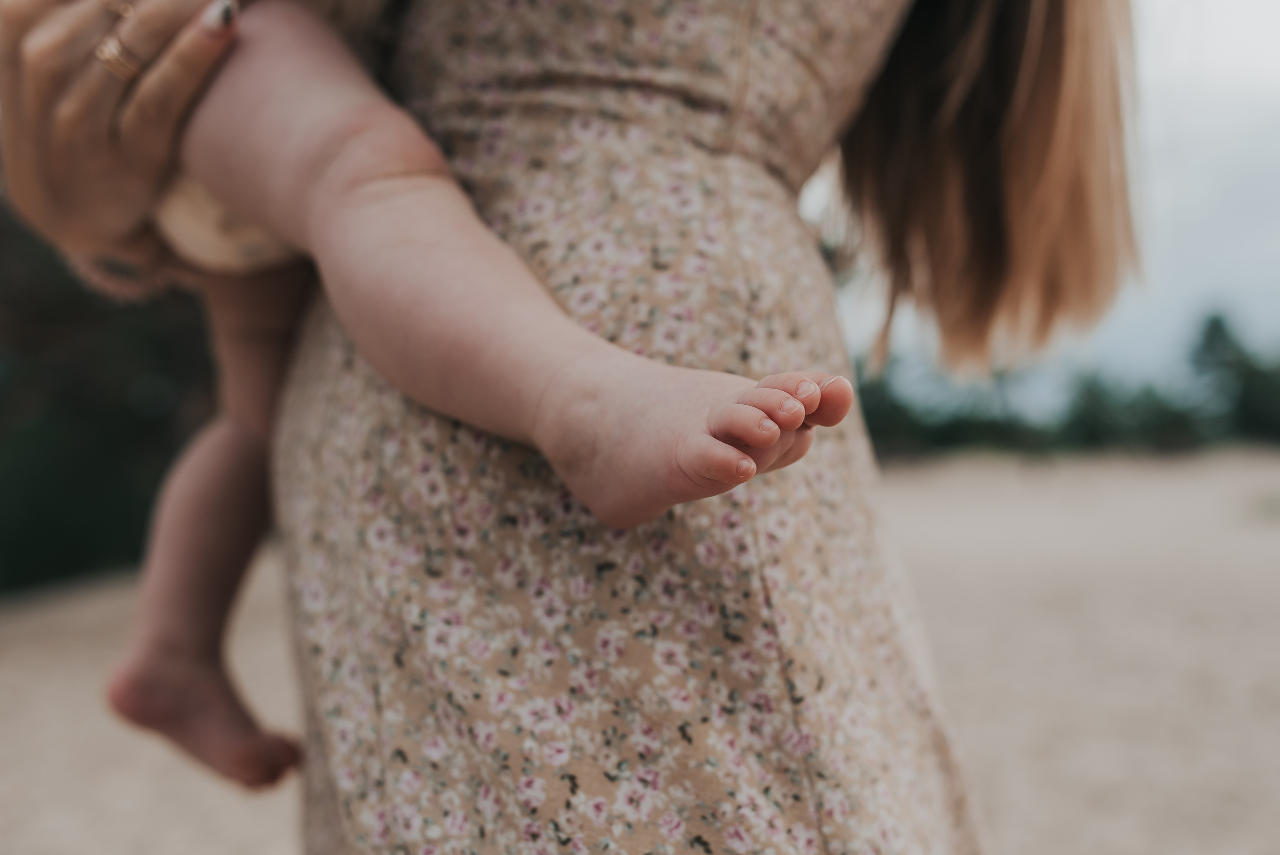 Утро на Яграх. Фотограф Архангельск