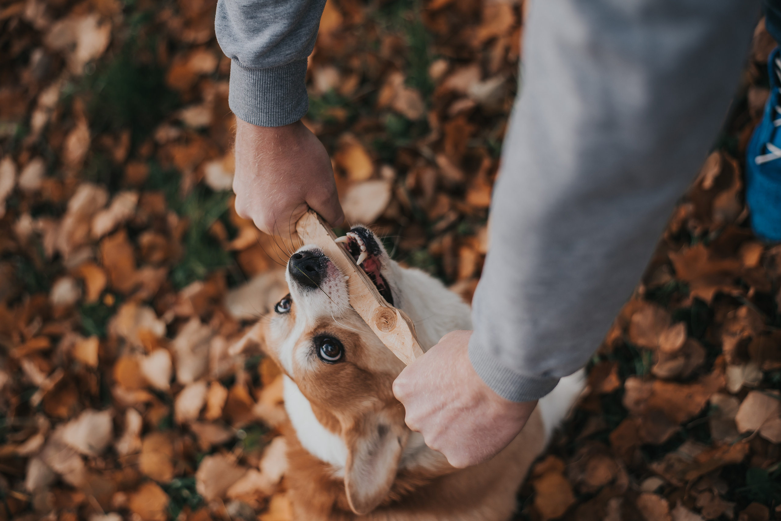 Шаня. Фотограф Архангельск
