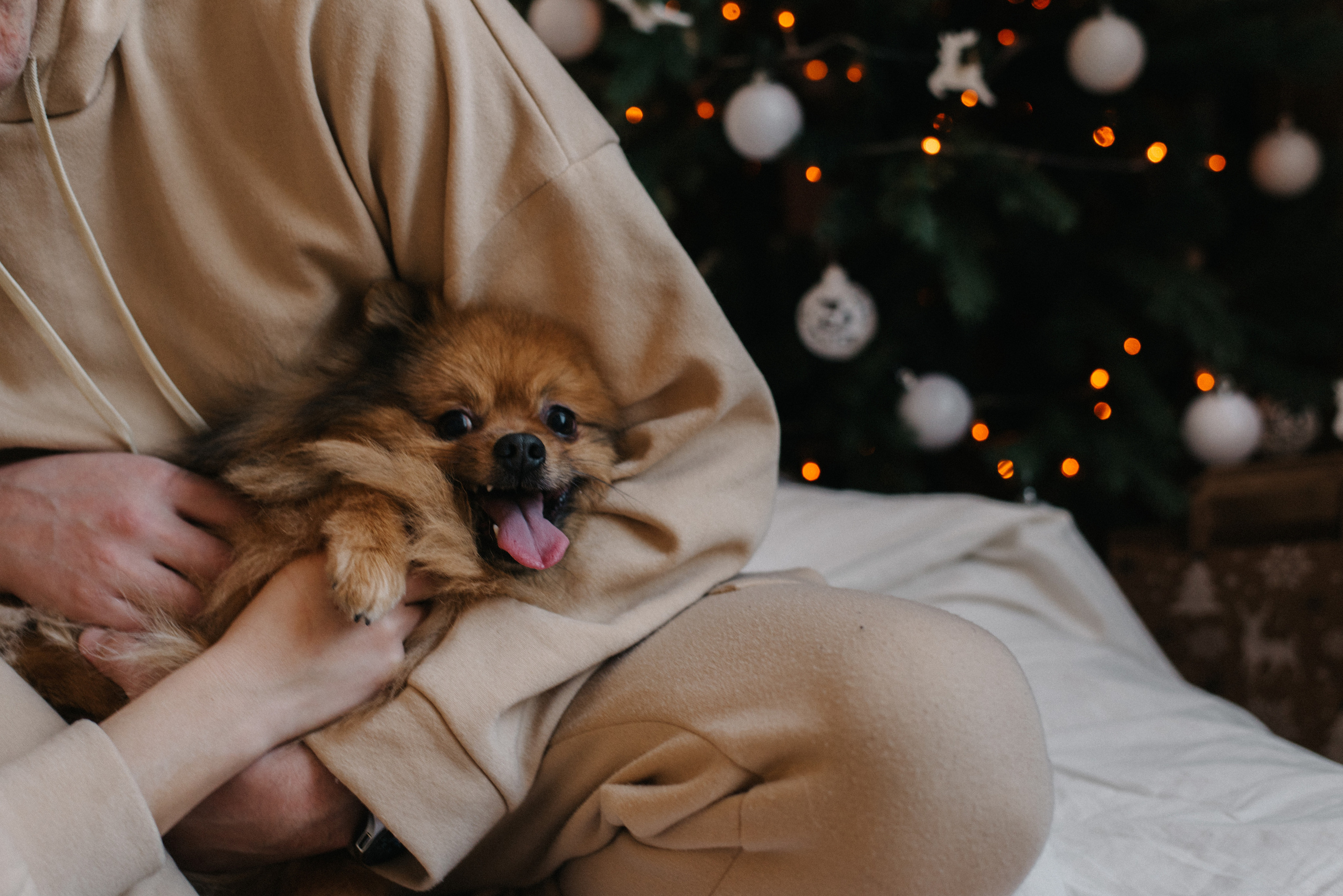 Алёнка и Артём. Фотограф Архангельск