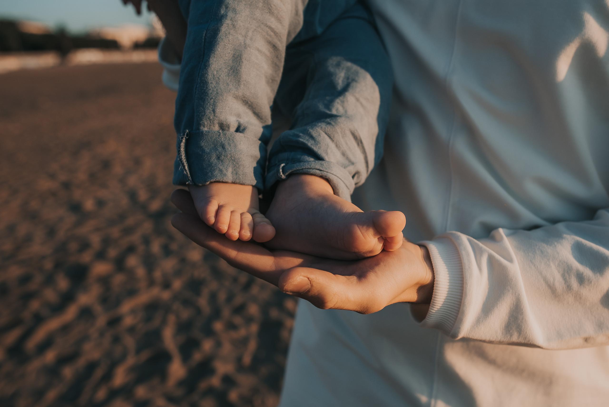 Солнечный день. Фотограф Архангельск
