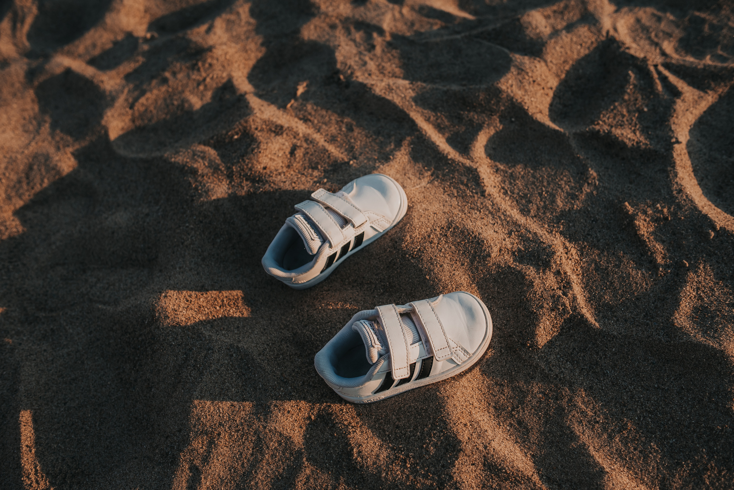 Солнечный день. Фотограф Архангельск