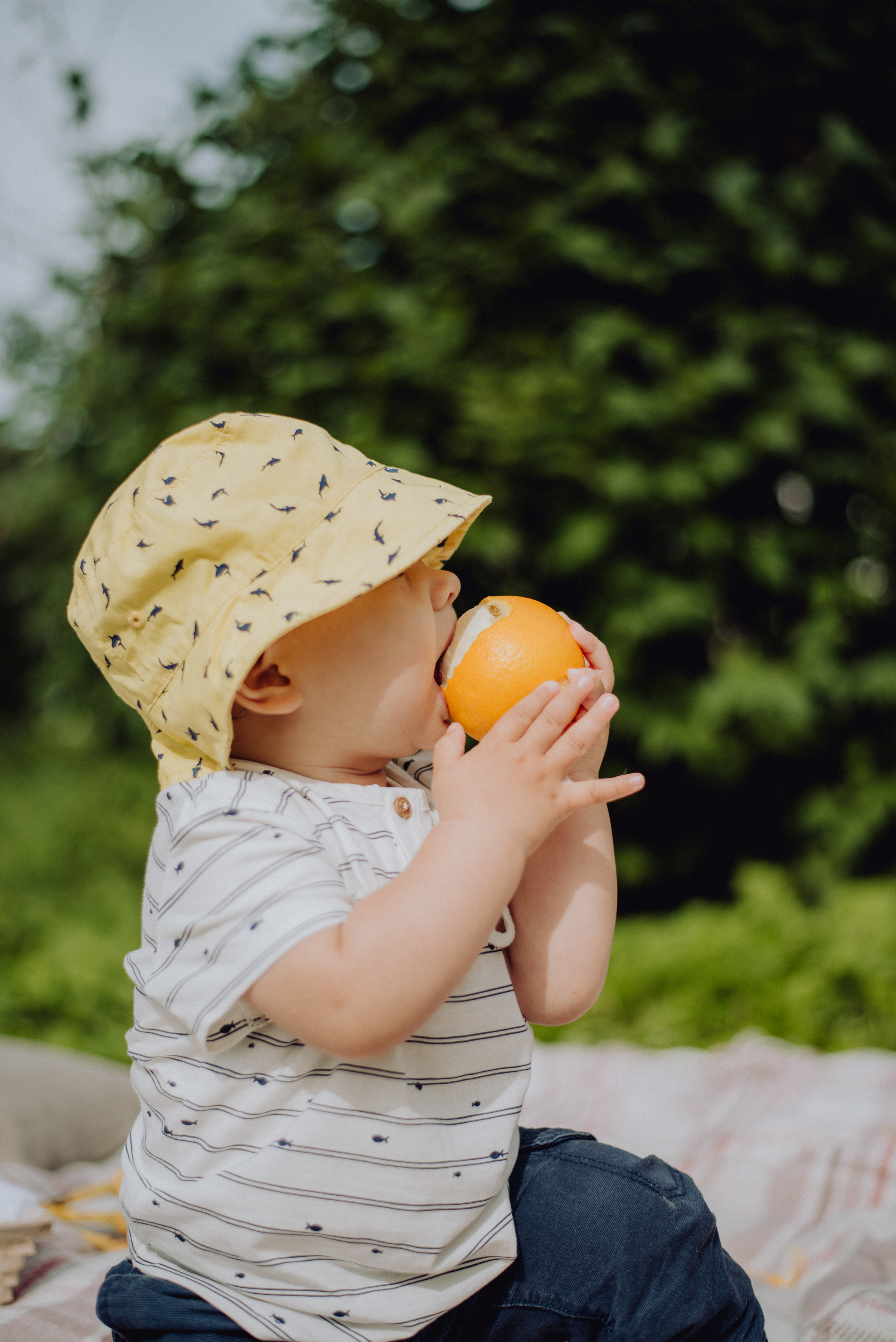 Пикник. Фотограф Архангельск