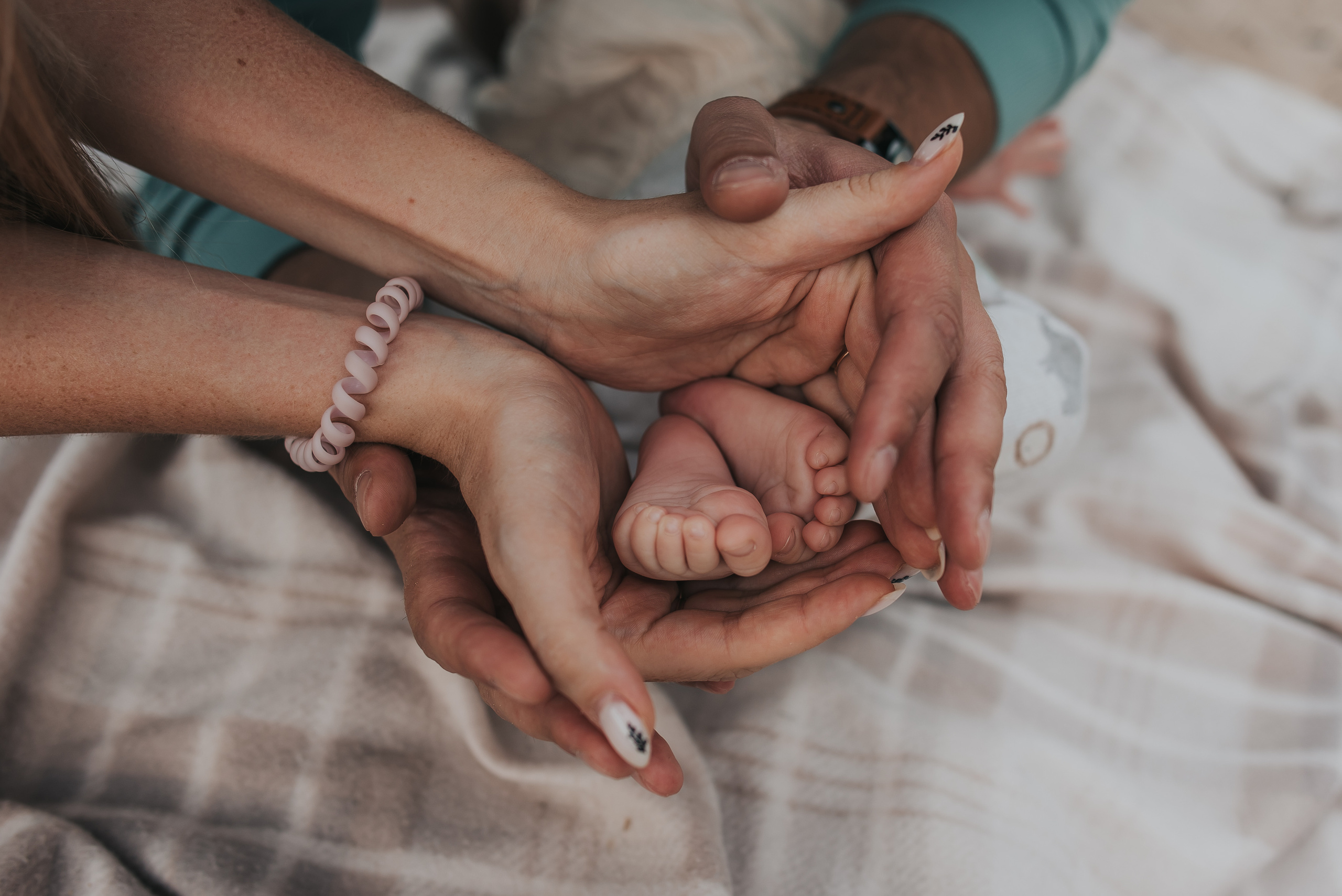 Утро на Яграх. Фотограф Архангельск