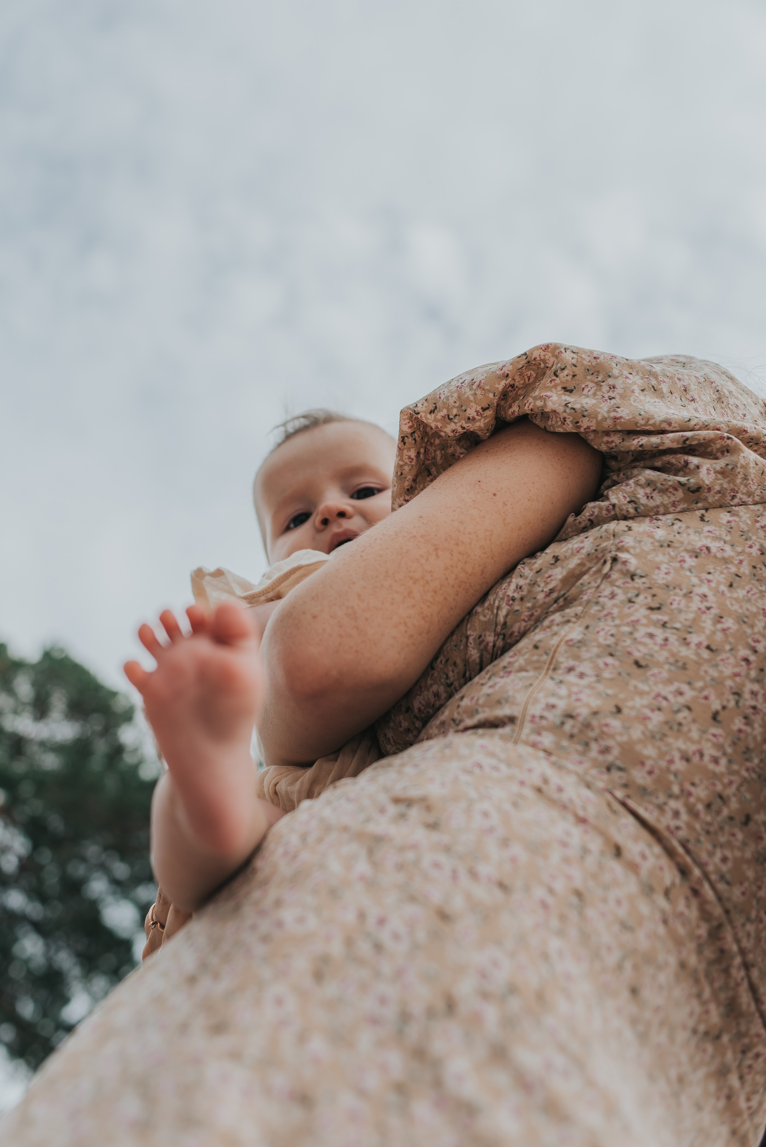 Утро на Яграх. Фотограф Архангельск