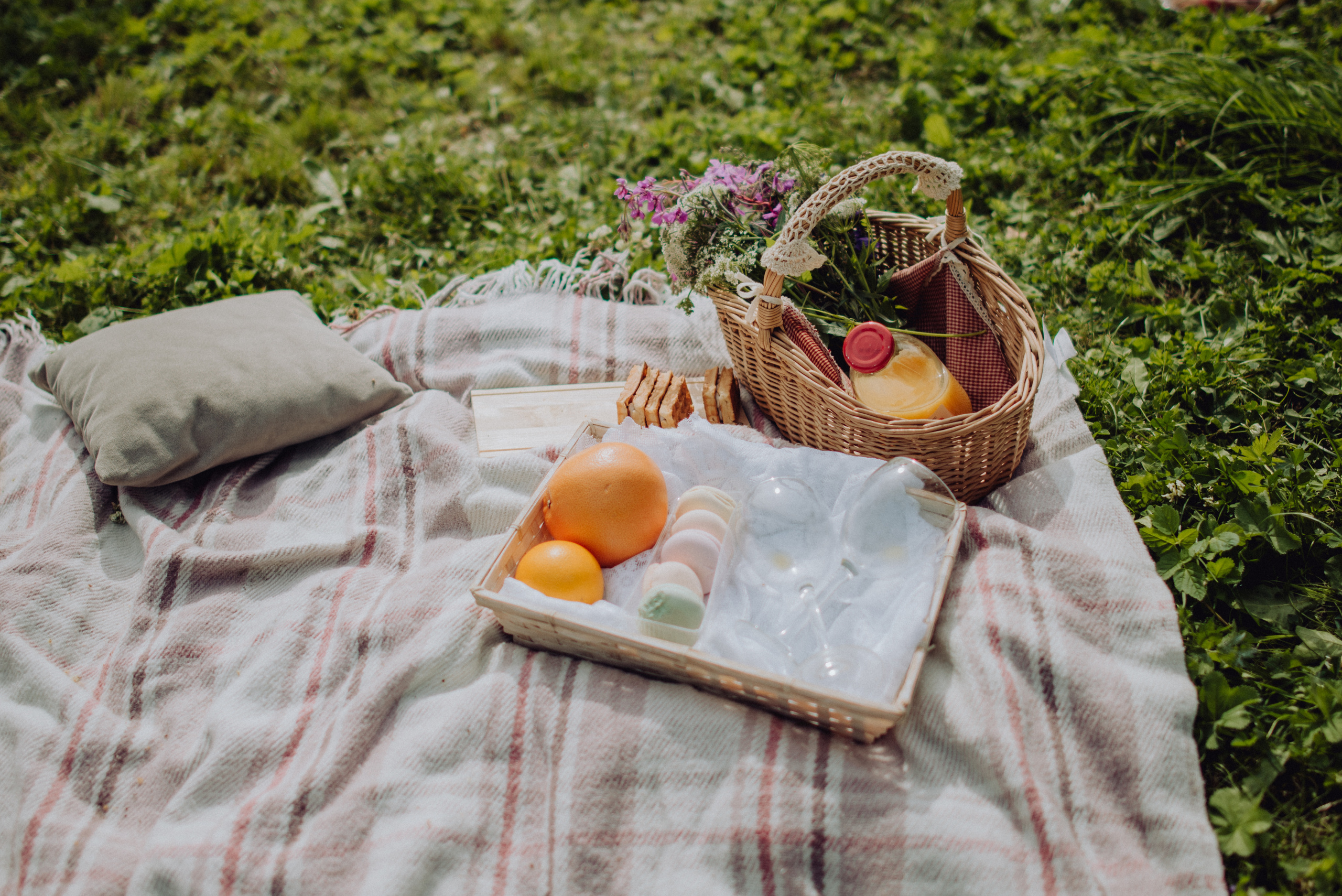 Пикник. Фотограф Архангельск
