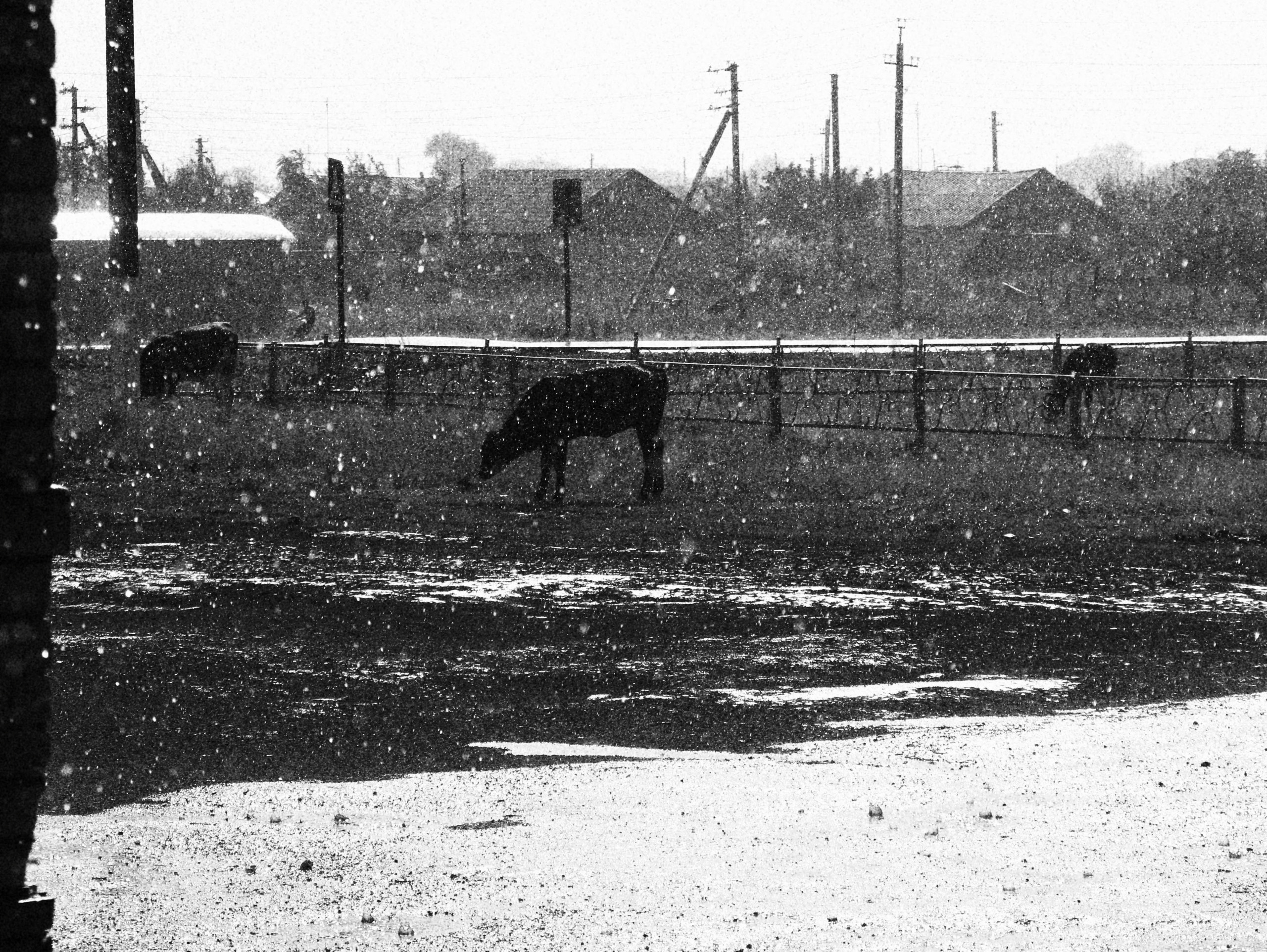 Самарская область. Daria Morozova