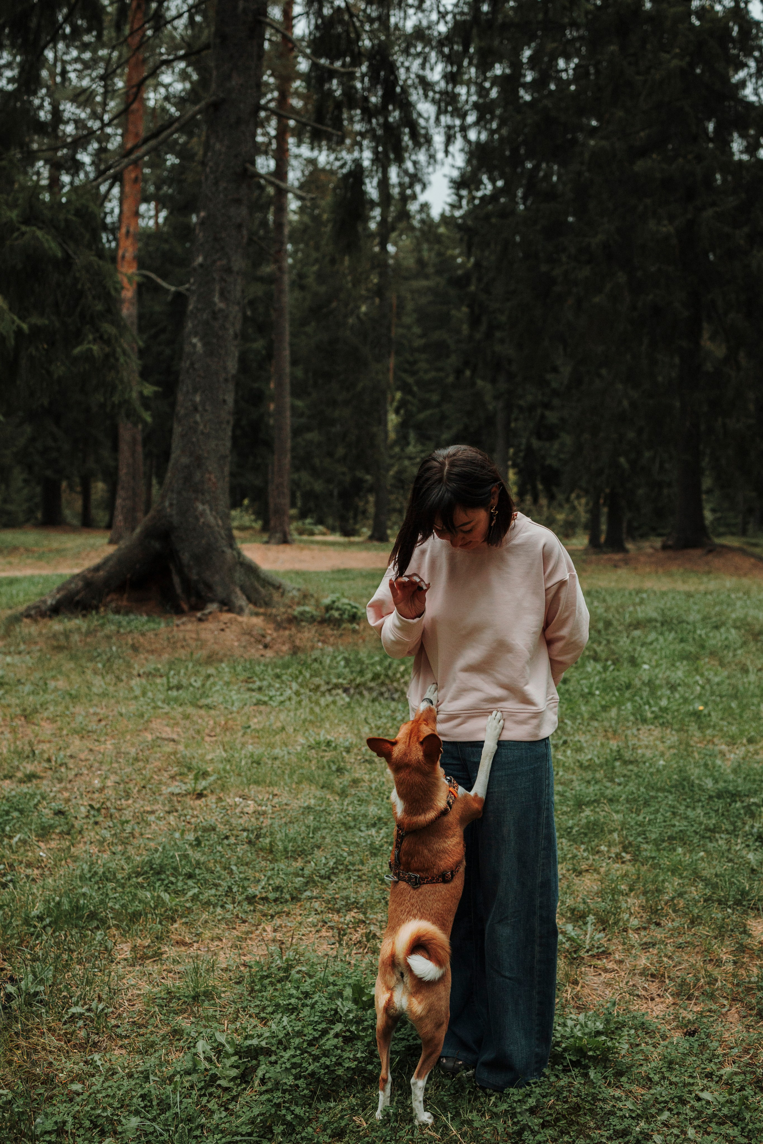 Даша и Лора. Фотограф-анималист в Санкт-Петеребурге Титова Алиса
