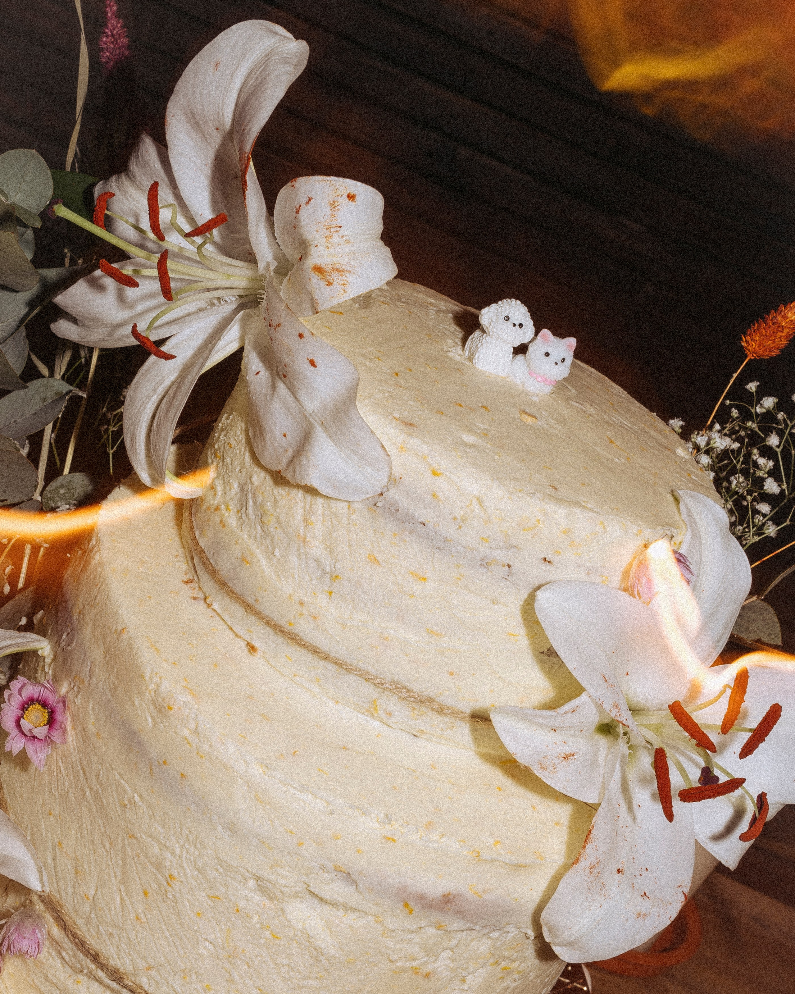 Berlin beats: Love, Fun and Party. Katerina Nord | Wedding and Couple Photographer in Germany and Europe