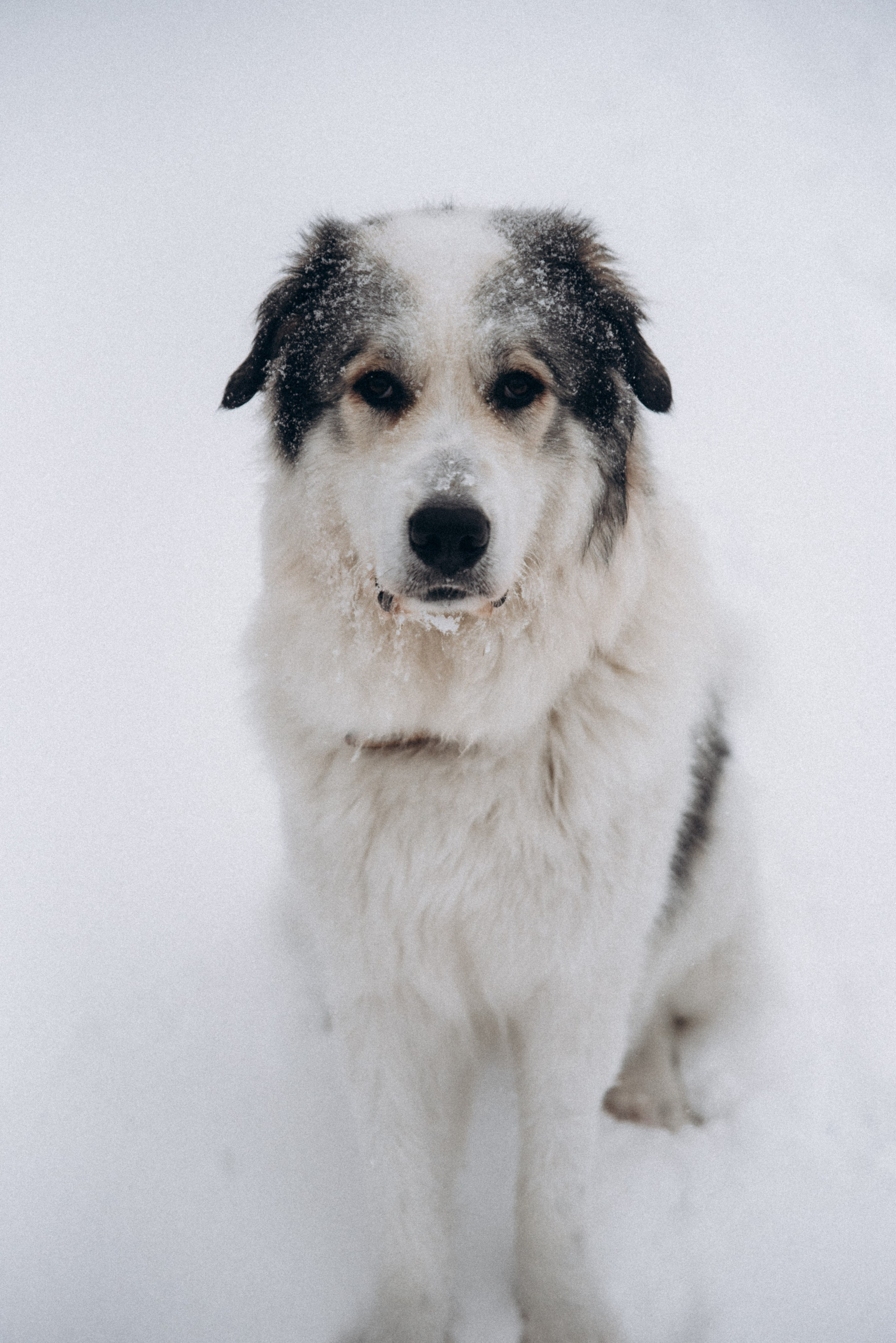 Териберка, Мурманск, Россия 🇷🇺. Anita_photo