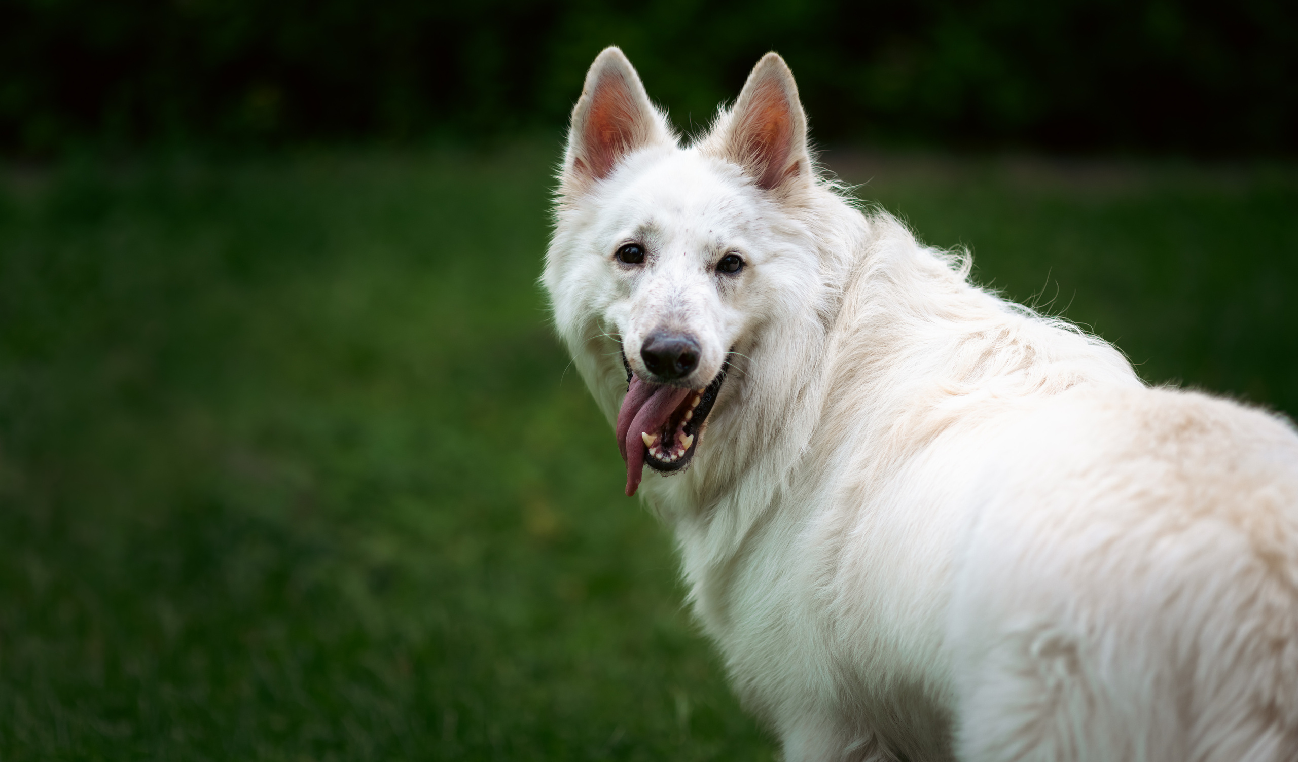 Ксения и Гримм. Фотограф, оператор Максим Кузнецов