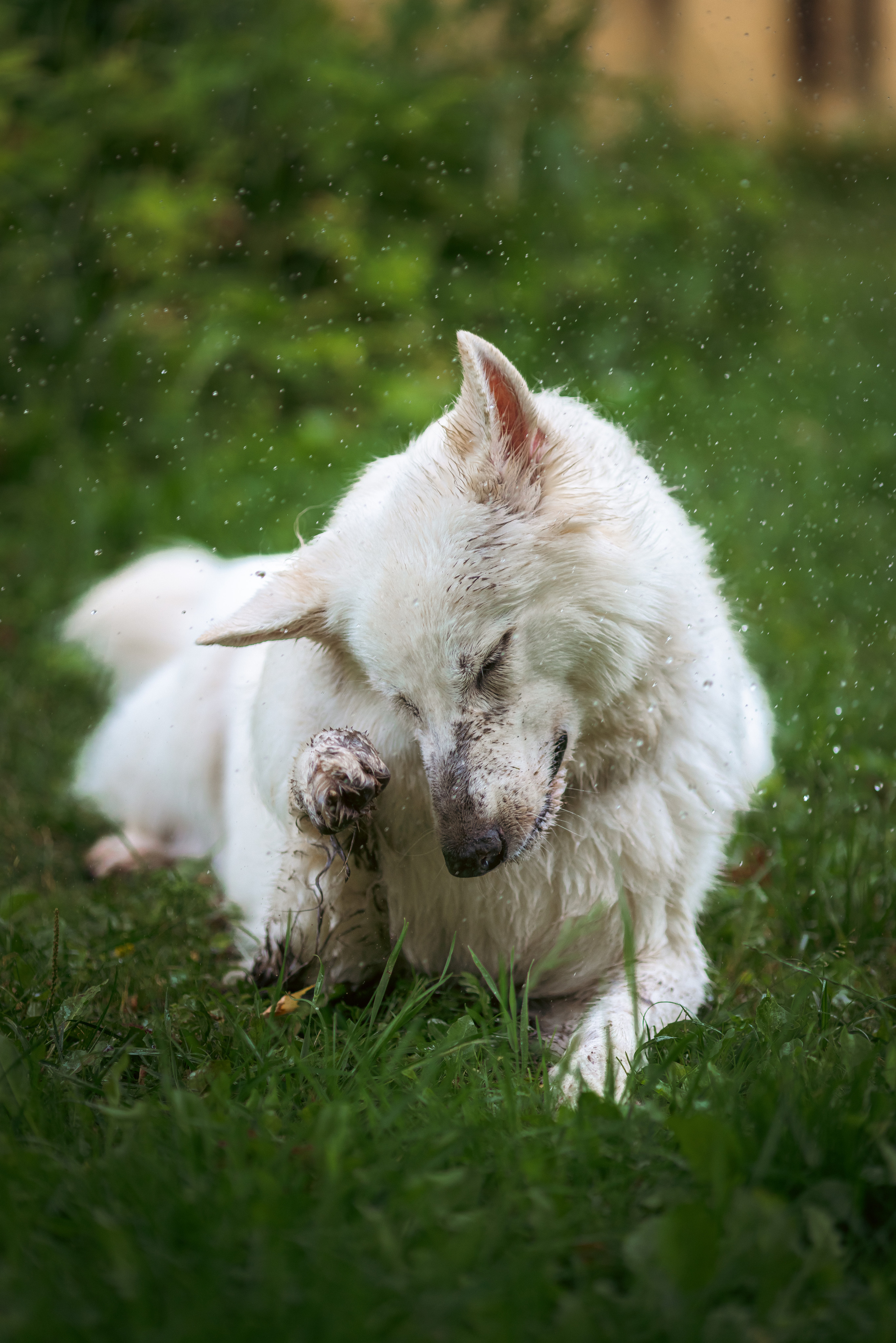 Ксения и Гримм. Фотограф, оператор Максим Кузнецов