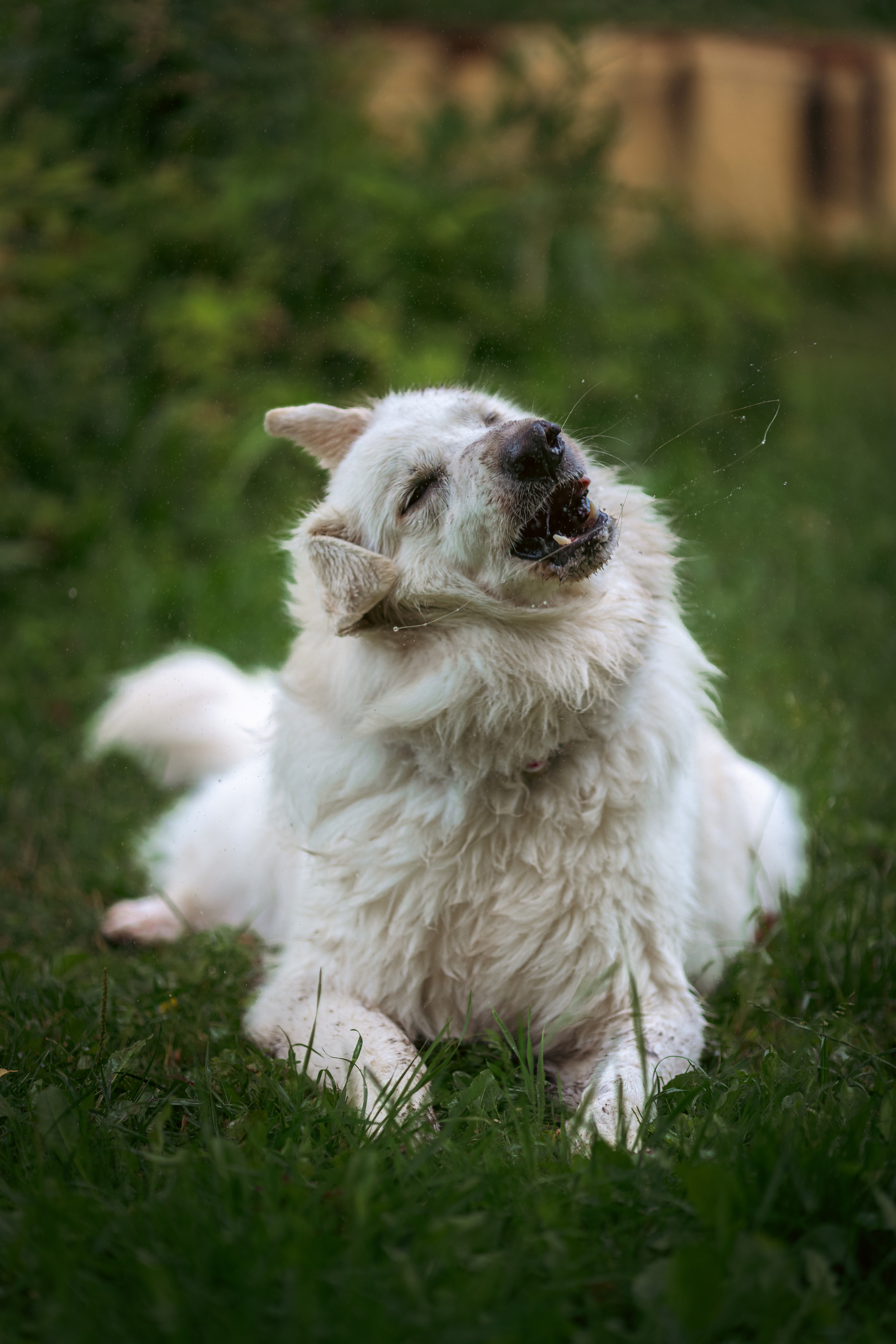 Ксения и Гримм. Фотограф, оператор Максим Кузнецов