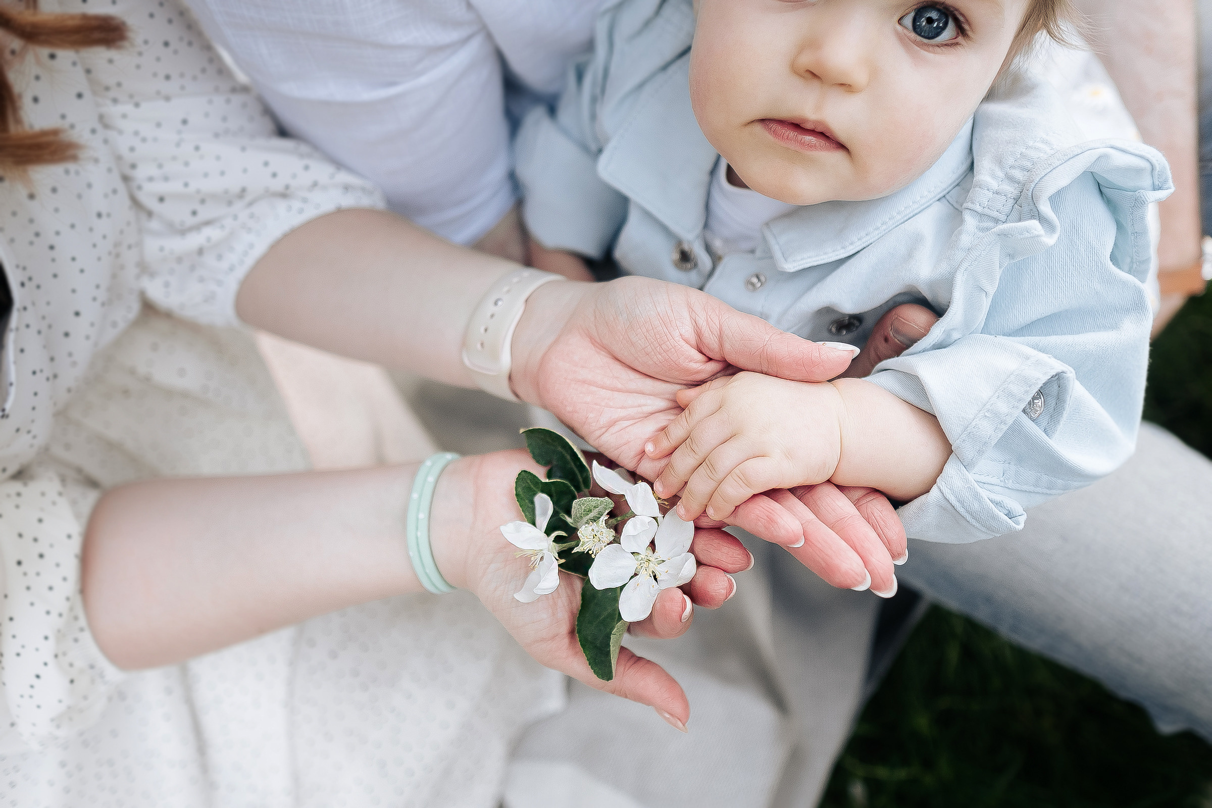 Годовасие Вероники. Семейный и свадебный фотограф в Москве Леванова Александра