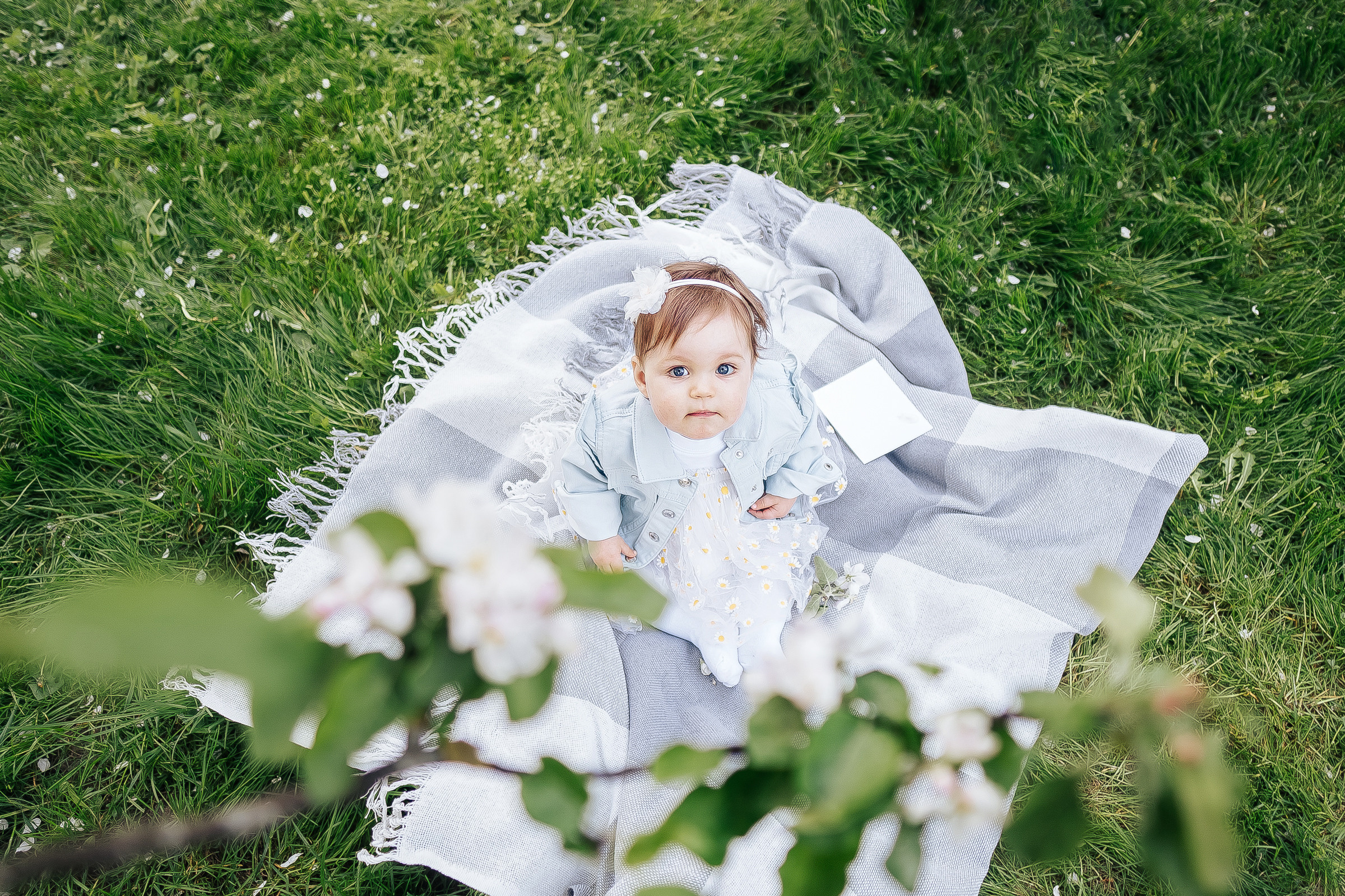 Годовасие Вероники. Семейный и свадебный фотограф в Москве Леванова Александра