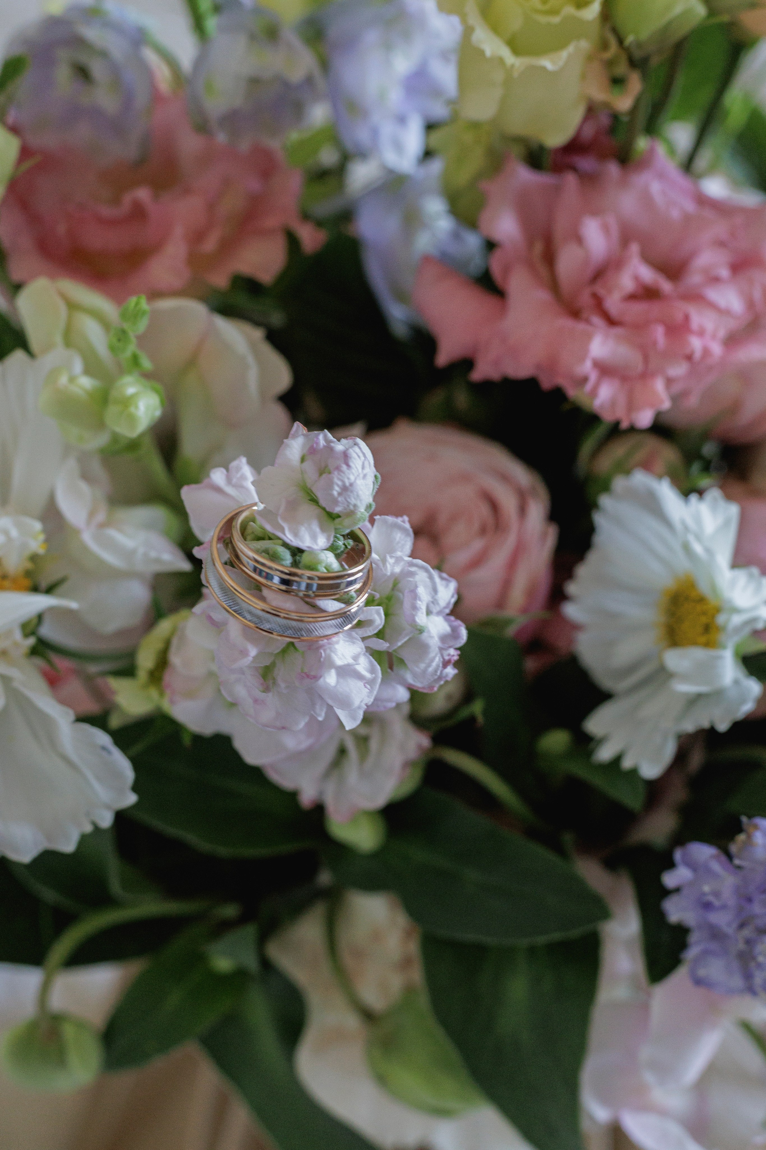Свадьба Николая и Ангелины. Семейный и детский фотограф в Рязани Васюгова Мария