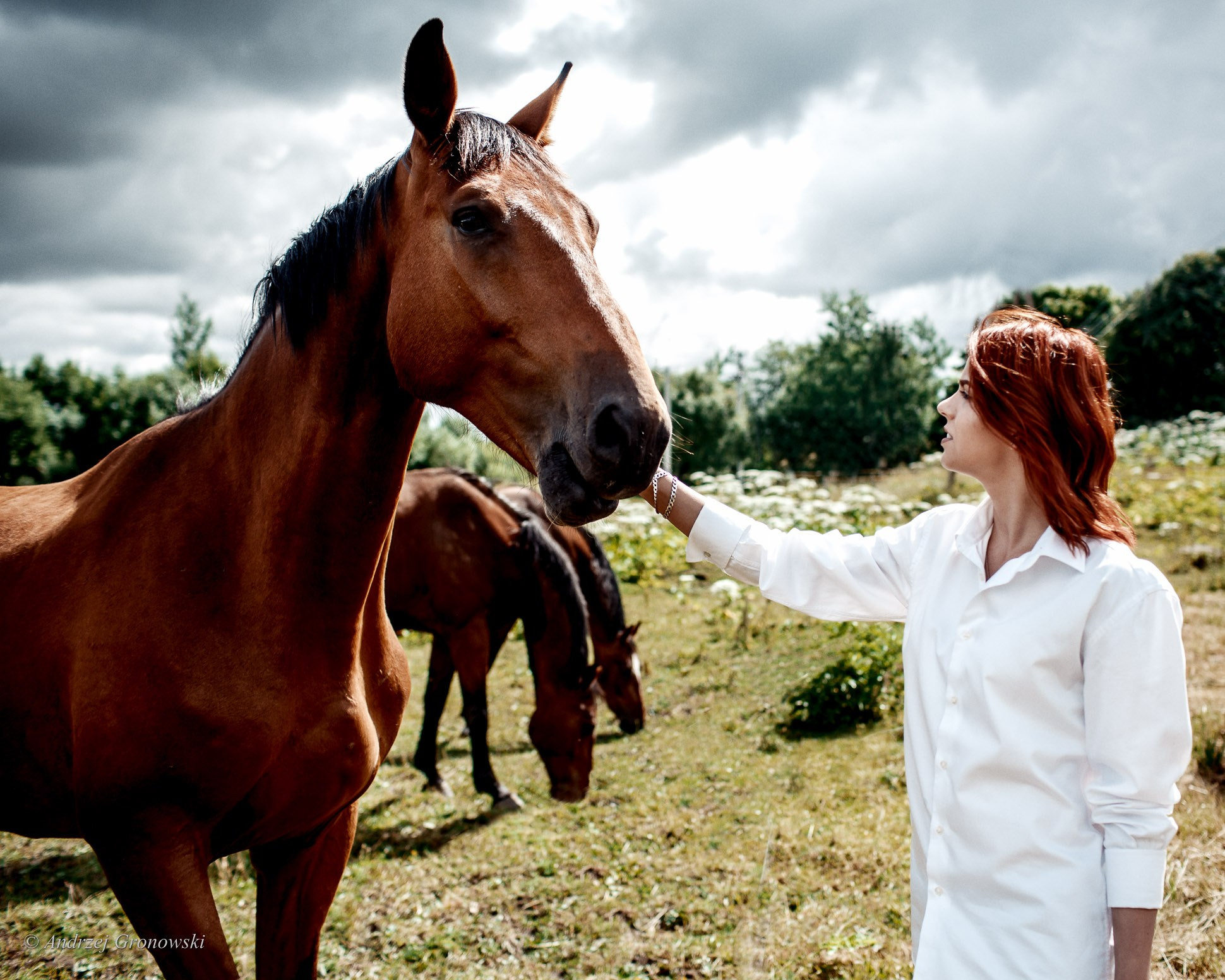 Рыжие и лошади. A. Гроновски —Портретный женский фотограф в Калининграде| Портреты, НЮ, Репортажи