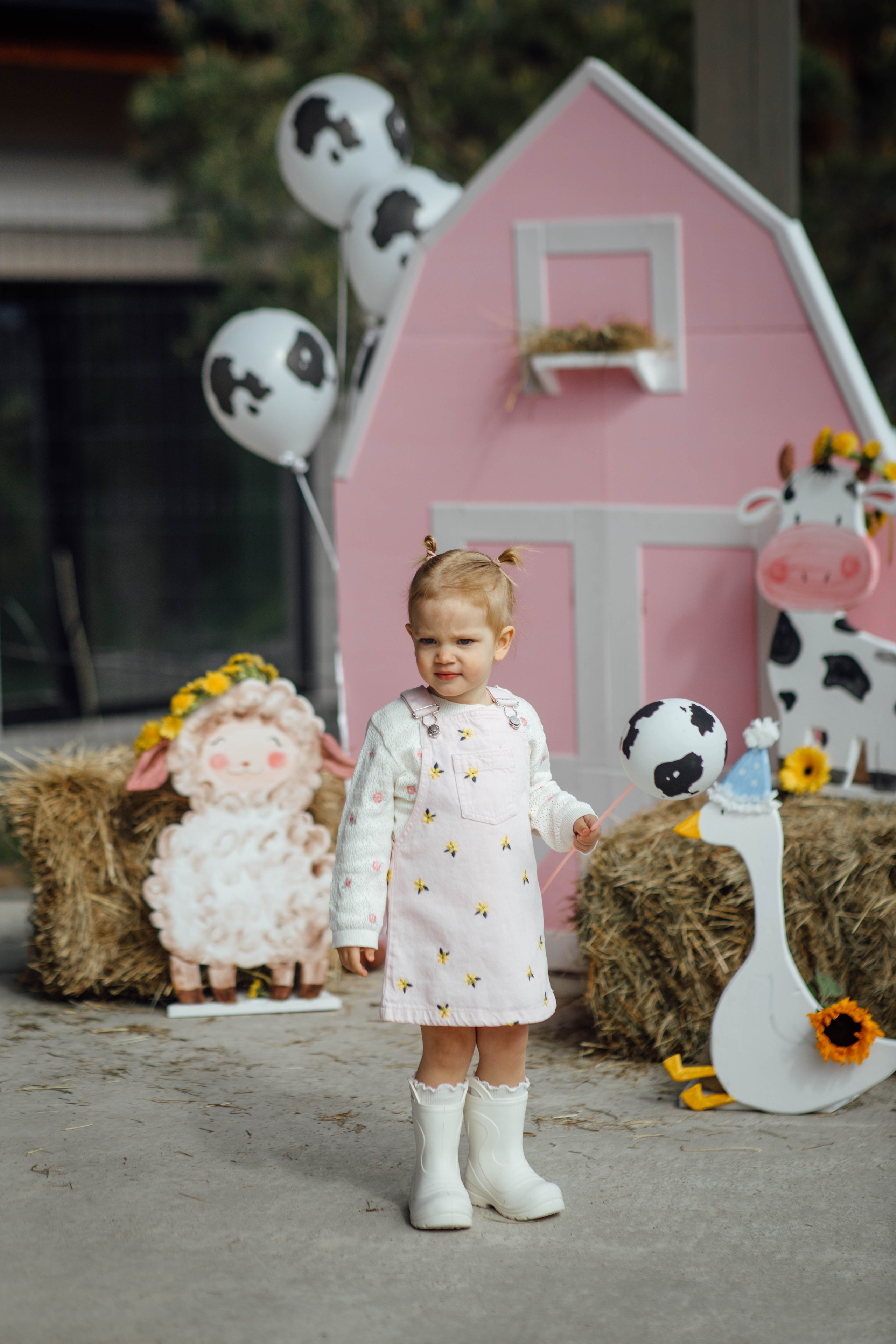 Репортаж дома, др