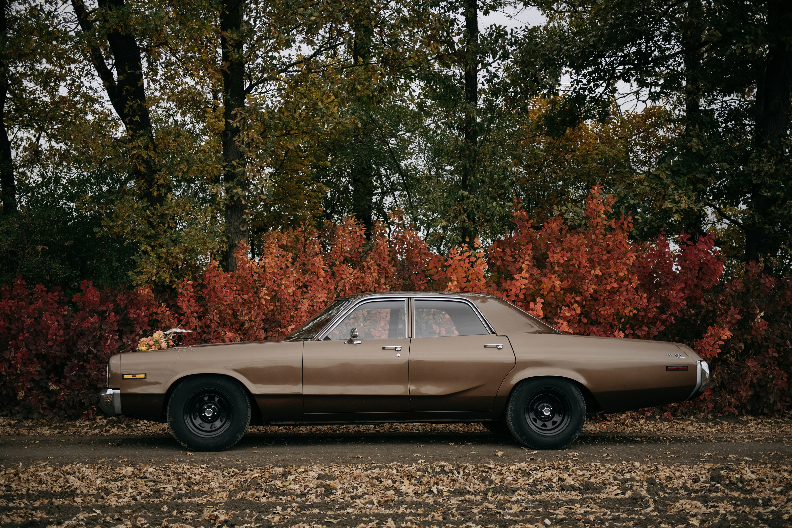 В каждом мгновении осень. Свадебный и семейный фотограф Темрюк Алёна Ковальская