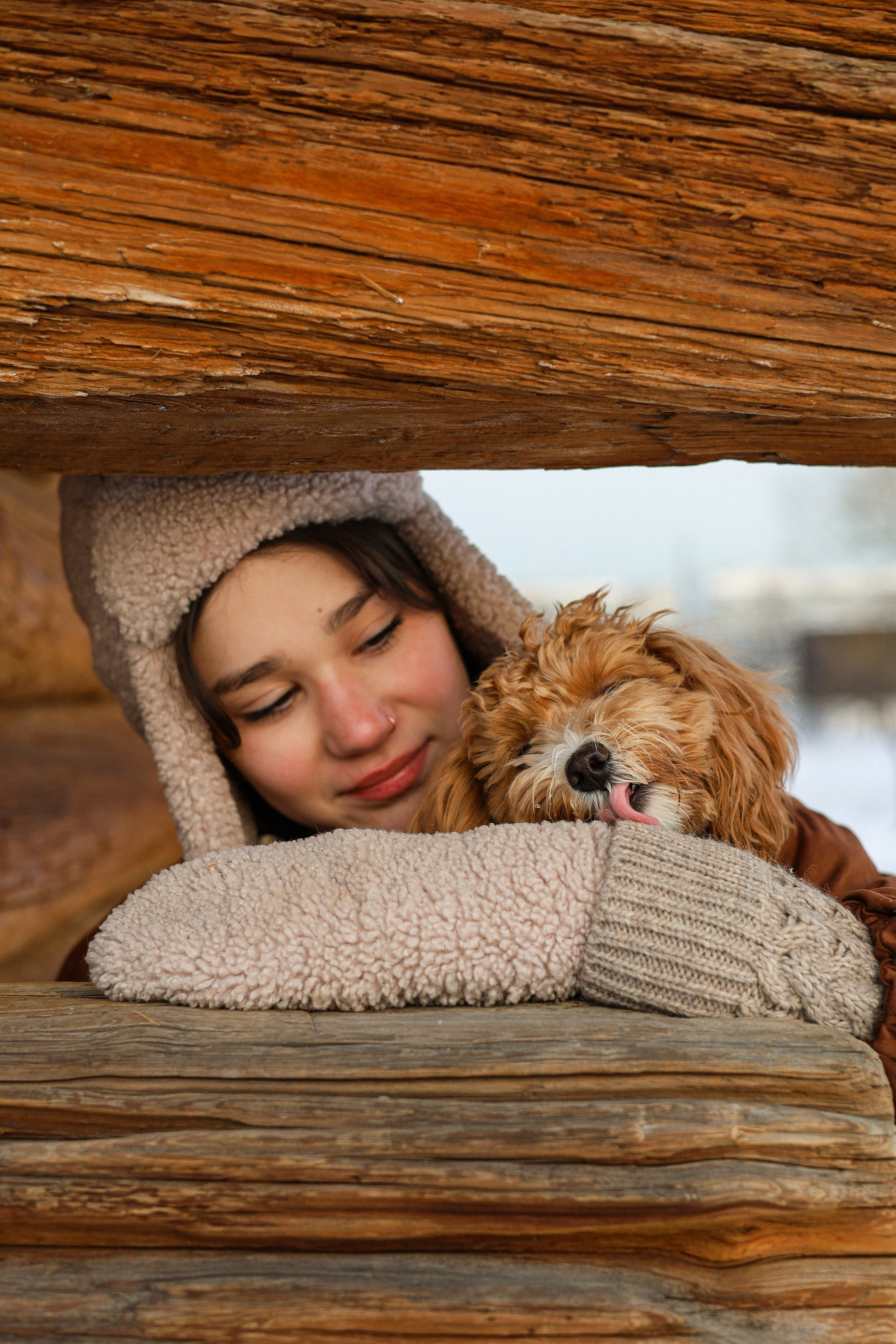 Вики и Ева. Фотограф-анималист Ксения Шевцова|Москва