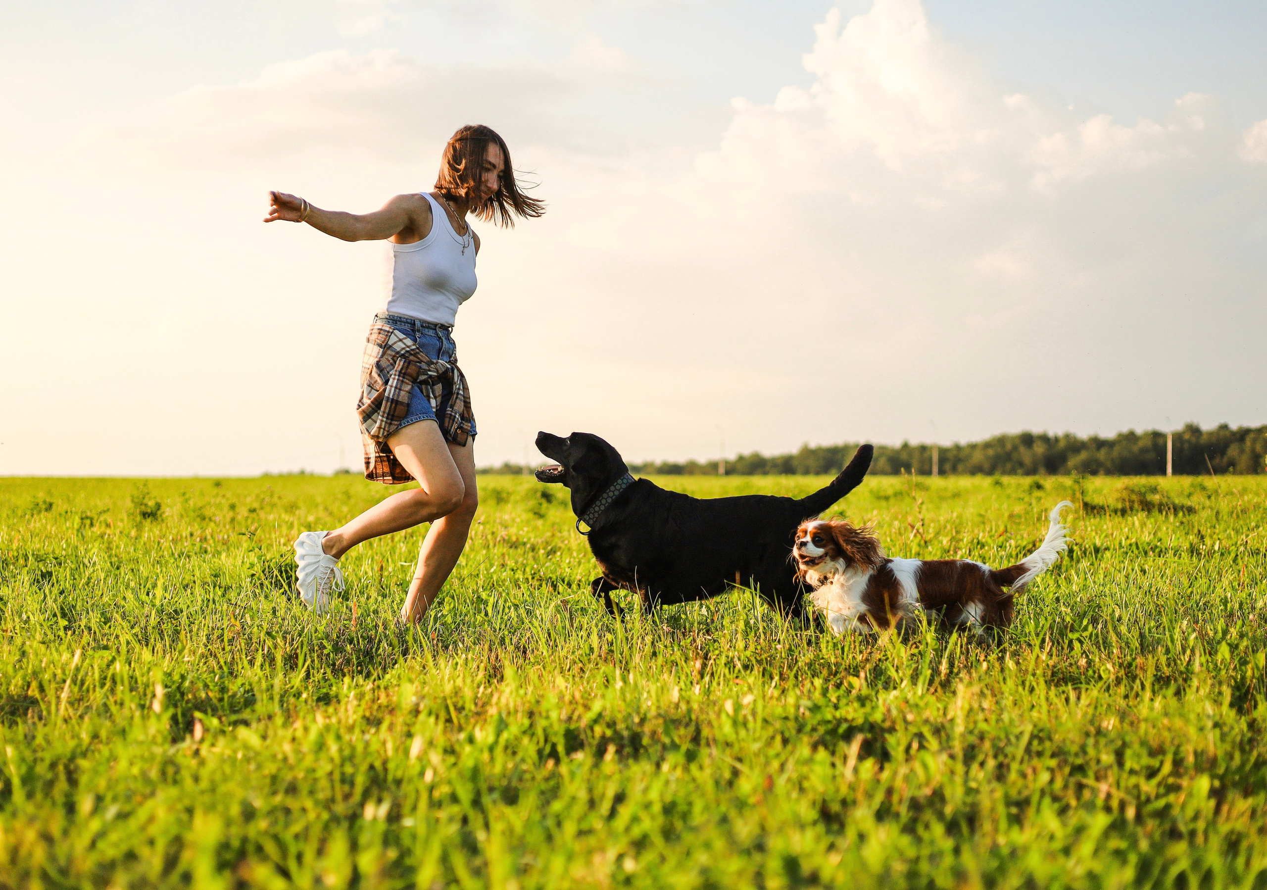 Бонни, Лея и Лера. Фотограф-анималист Ксения Шевцова|Москва