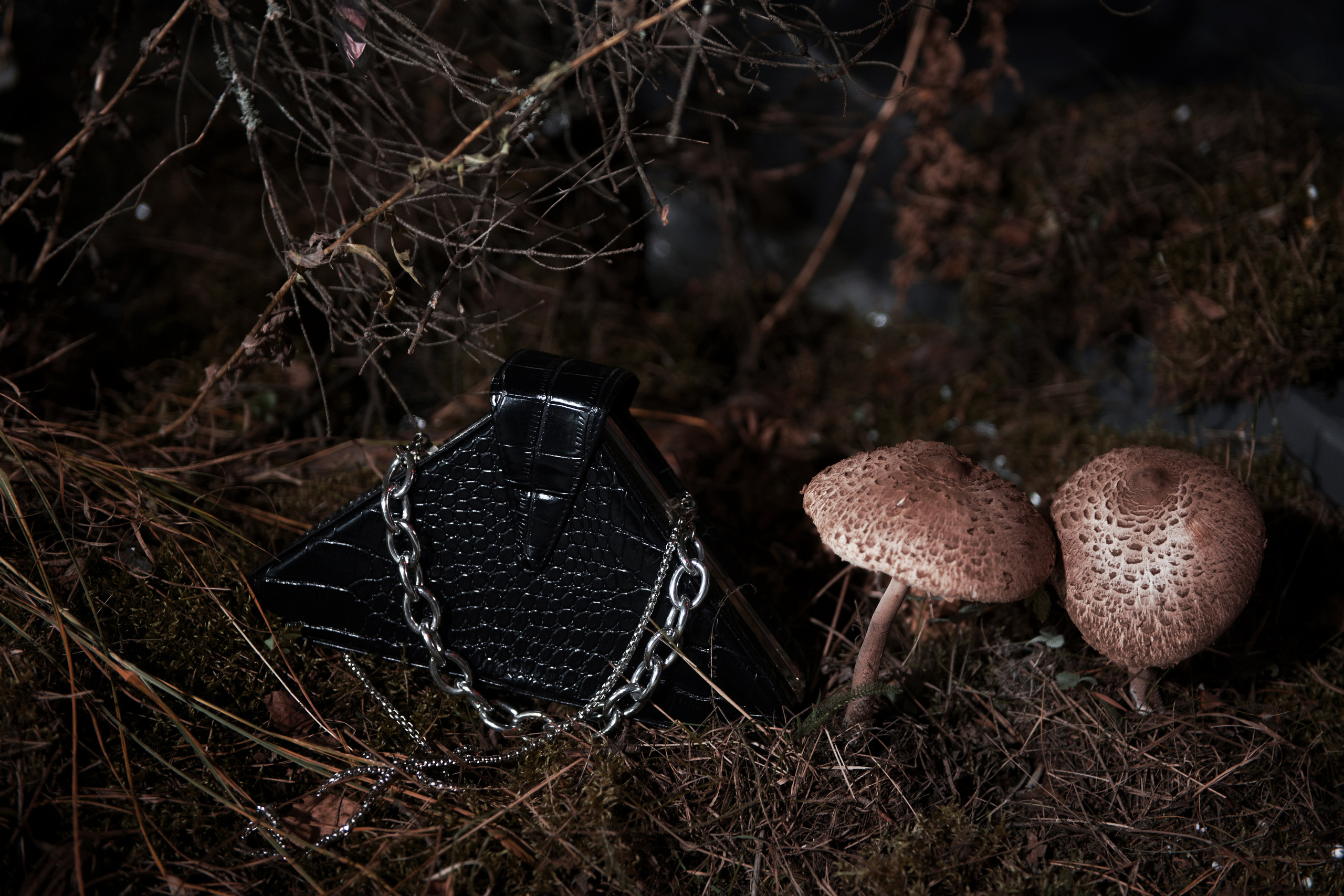 Флэш. Фотограф Кристина Гришина Рязань