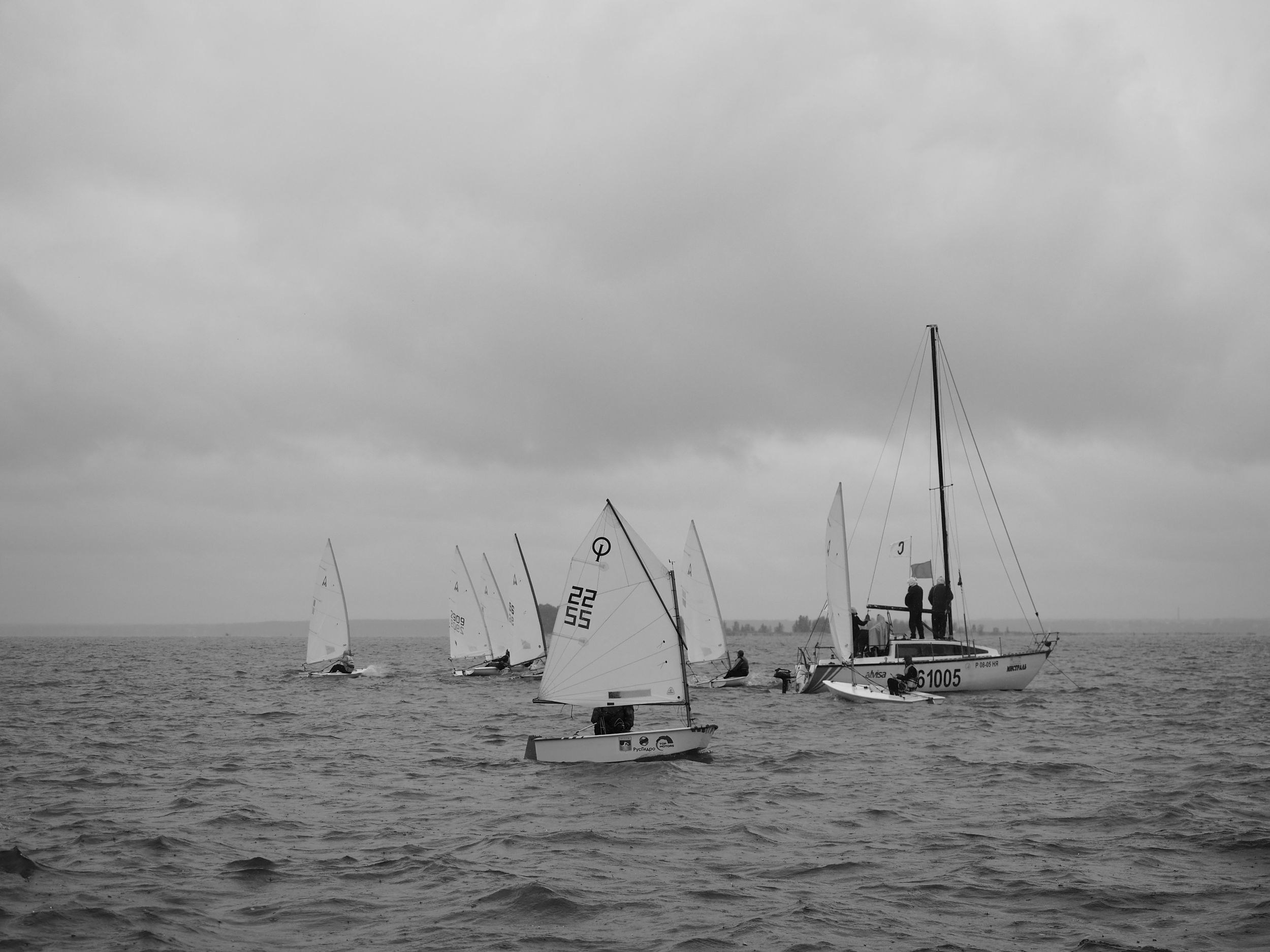 Алый парус 2023. Портретный и спортивный фотограф в Новосибирске и Твери Кононов Алексей