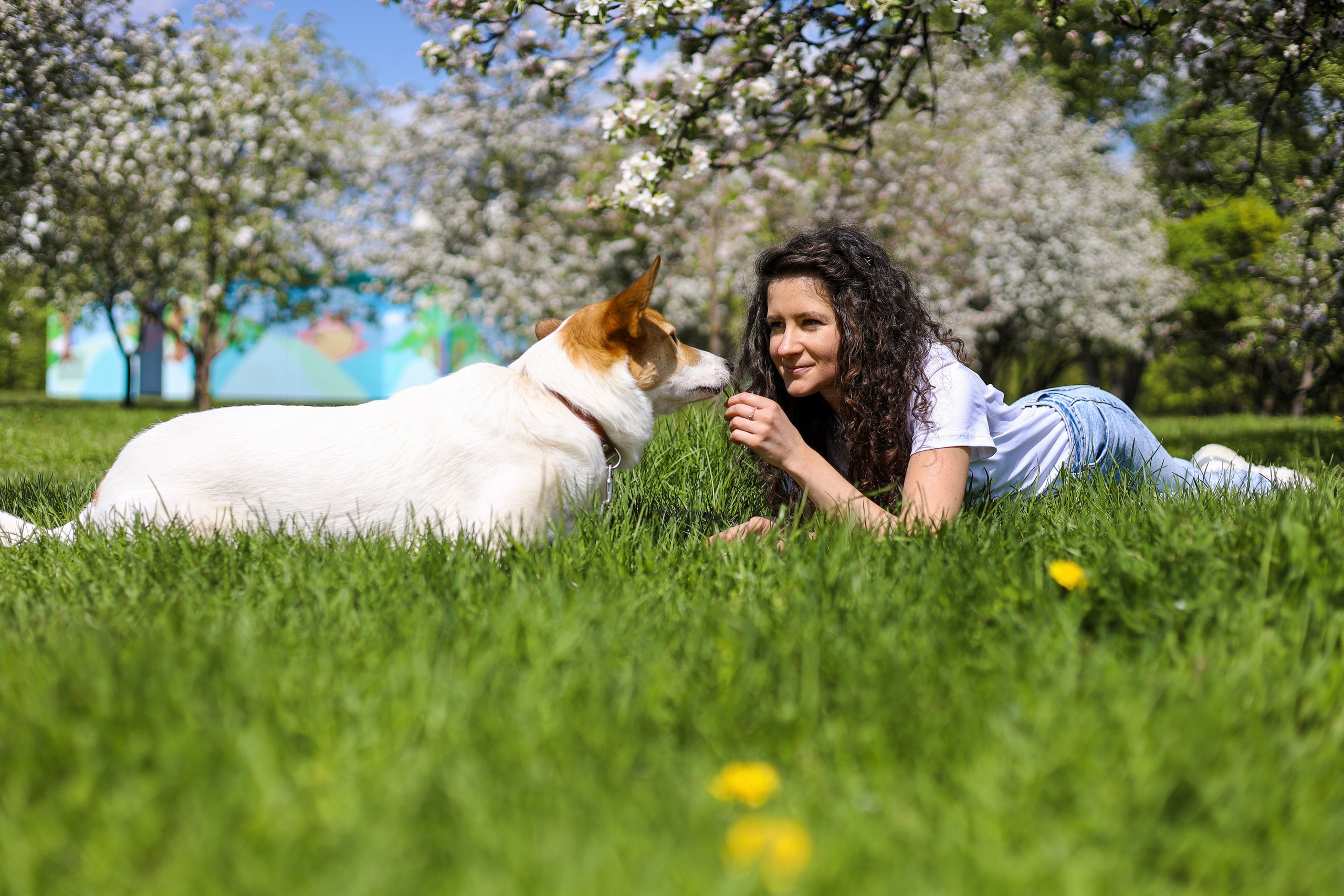Лучик и Аня. Фотограф-анималист Ксения Шевцова|Москва