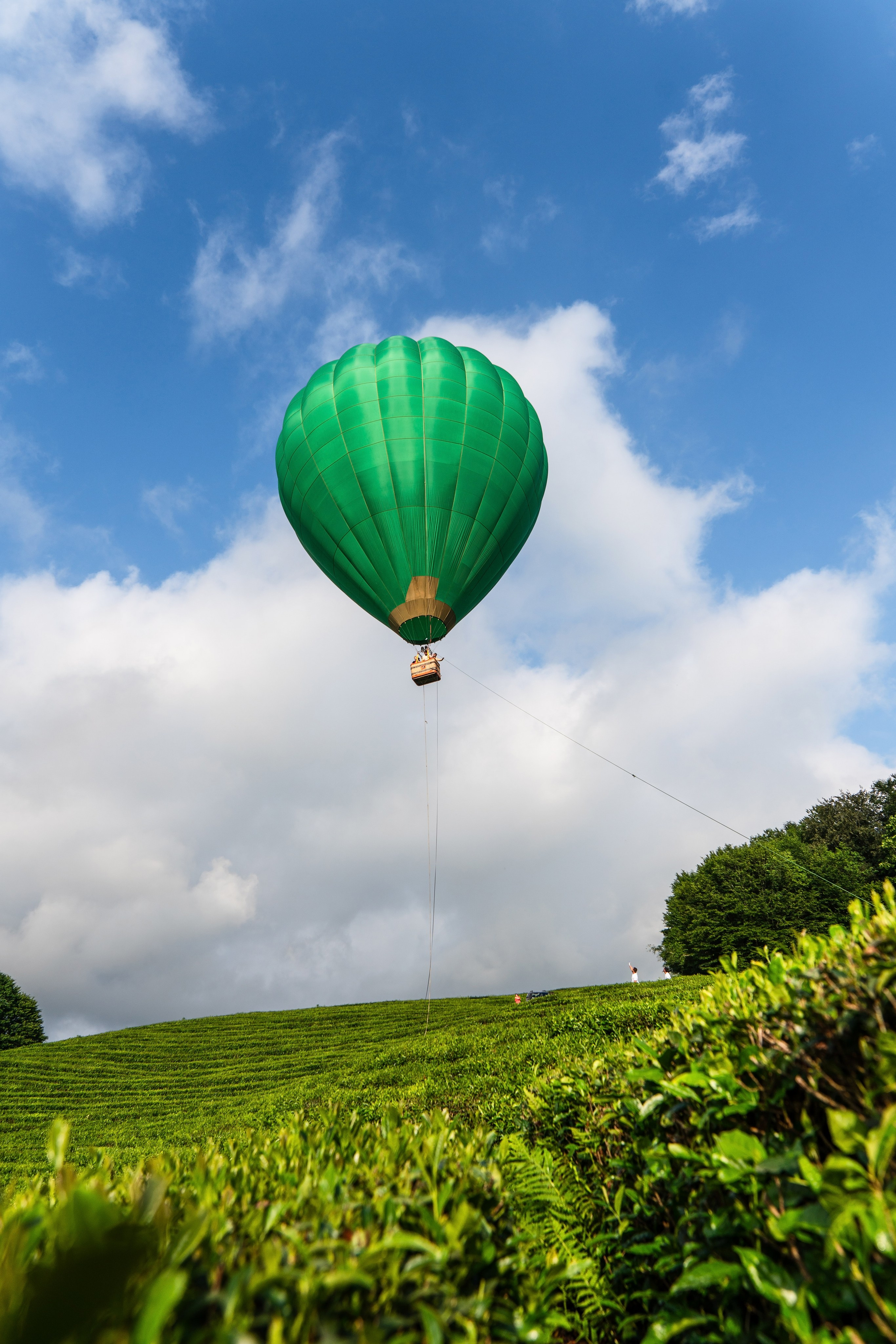 Фотограф на праздник Сочи. Фотограф Сочи