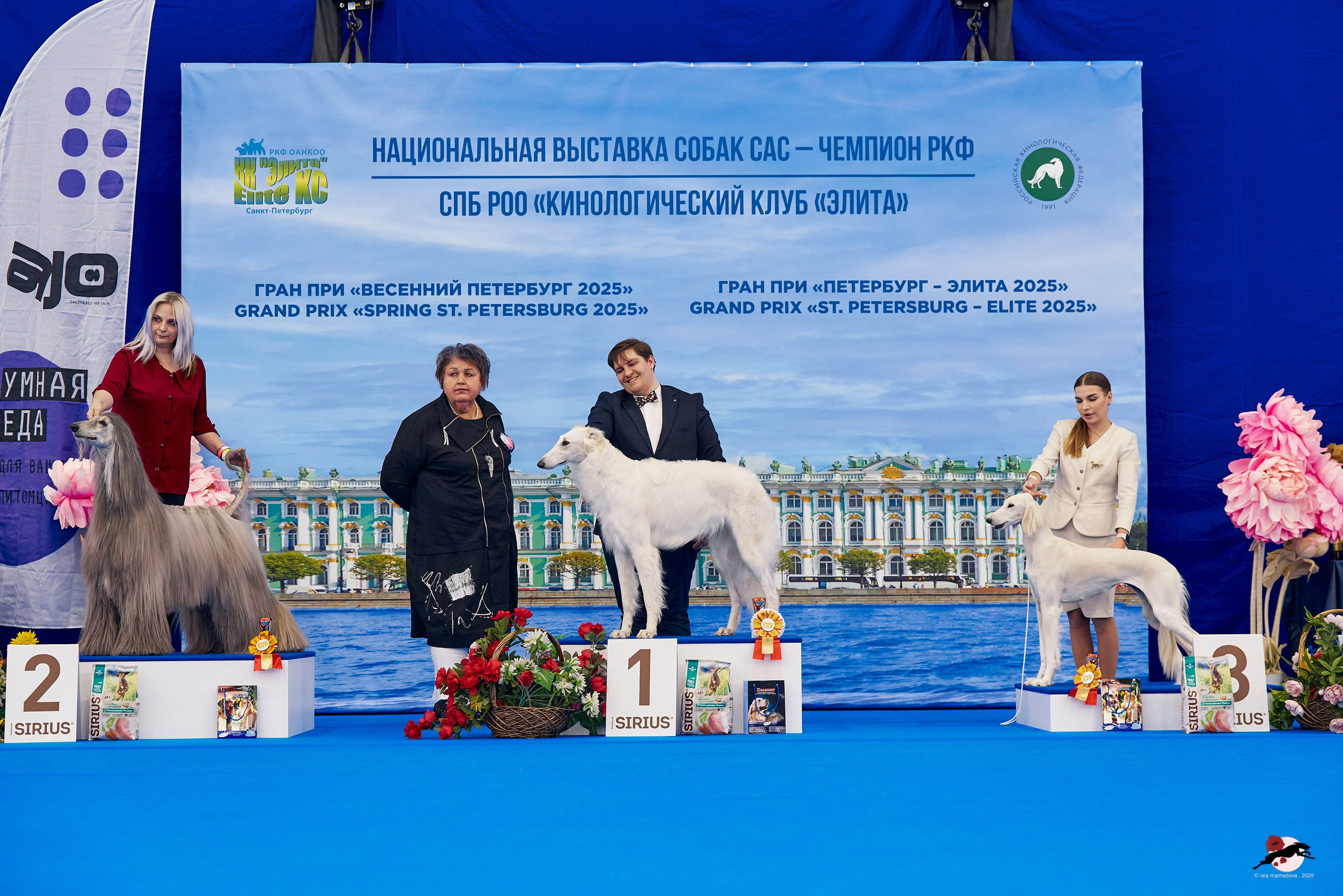 27.04.2025 | "Петербург-Элита 2025" & «КУБОК «ЭЛИТЫ»-2025»