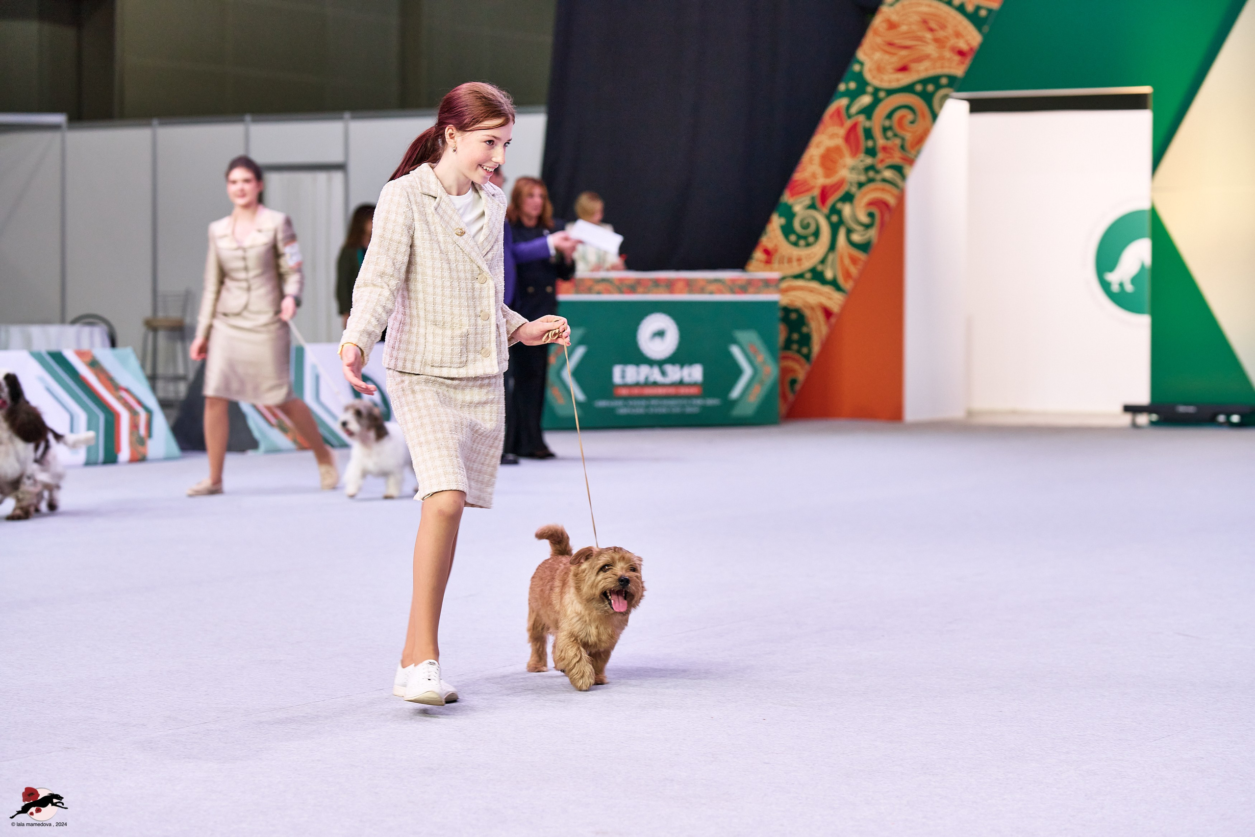 17.11.2024 «ЕВРАЗИЯ. КУБОК СНГ 2024»