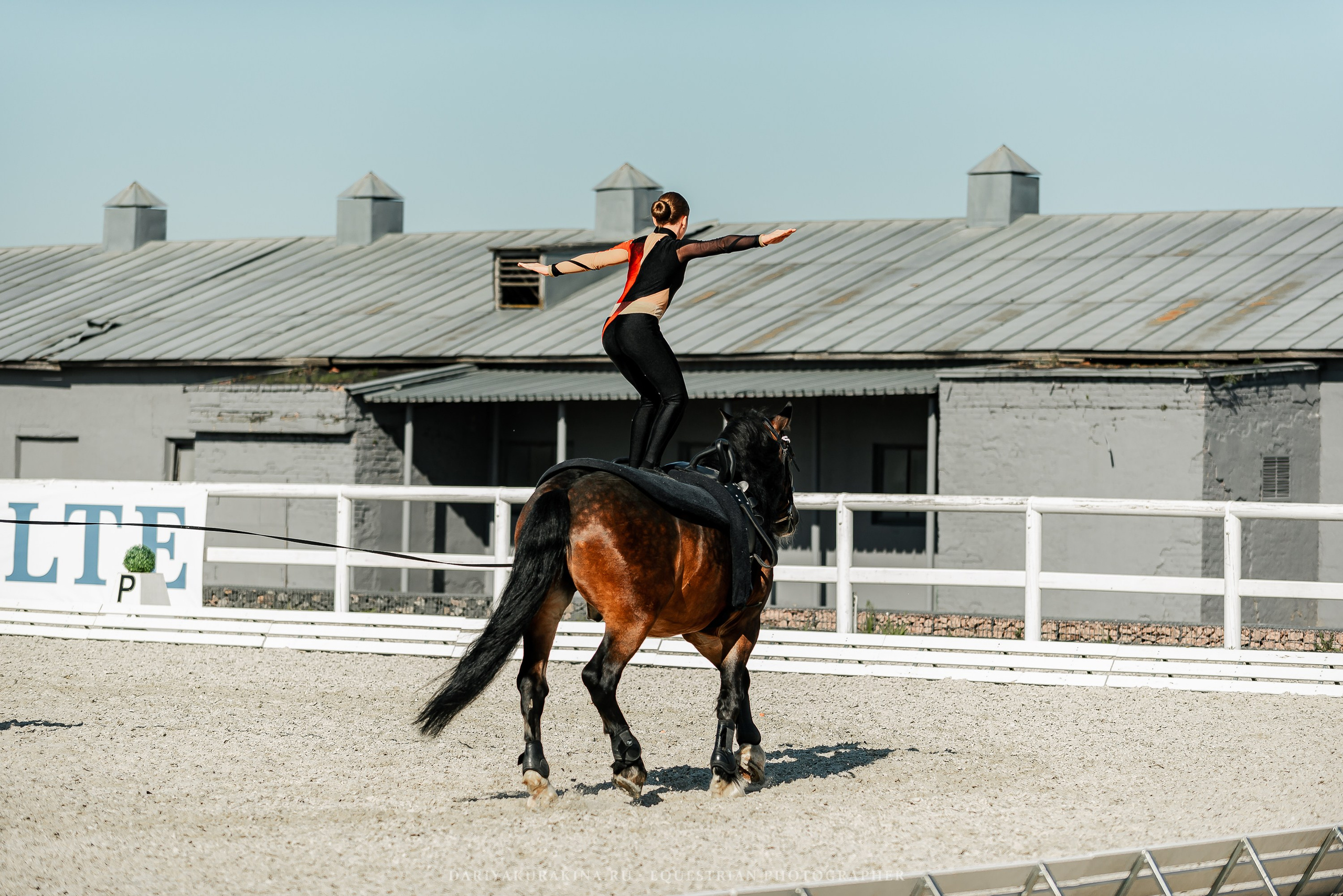 РЕПОРТАЖ МКК ВОЛЬТ «LA TULIPS». Конный фотограф Куракина Дарья • Фотосессии с лошадьми