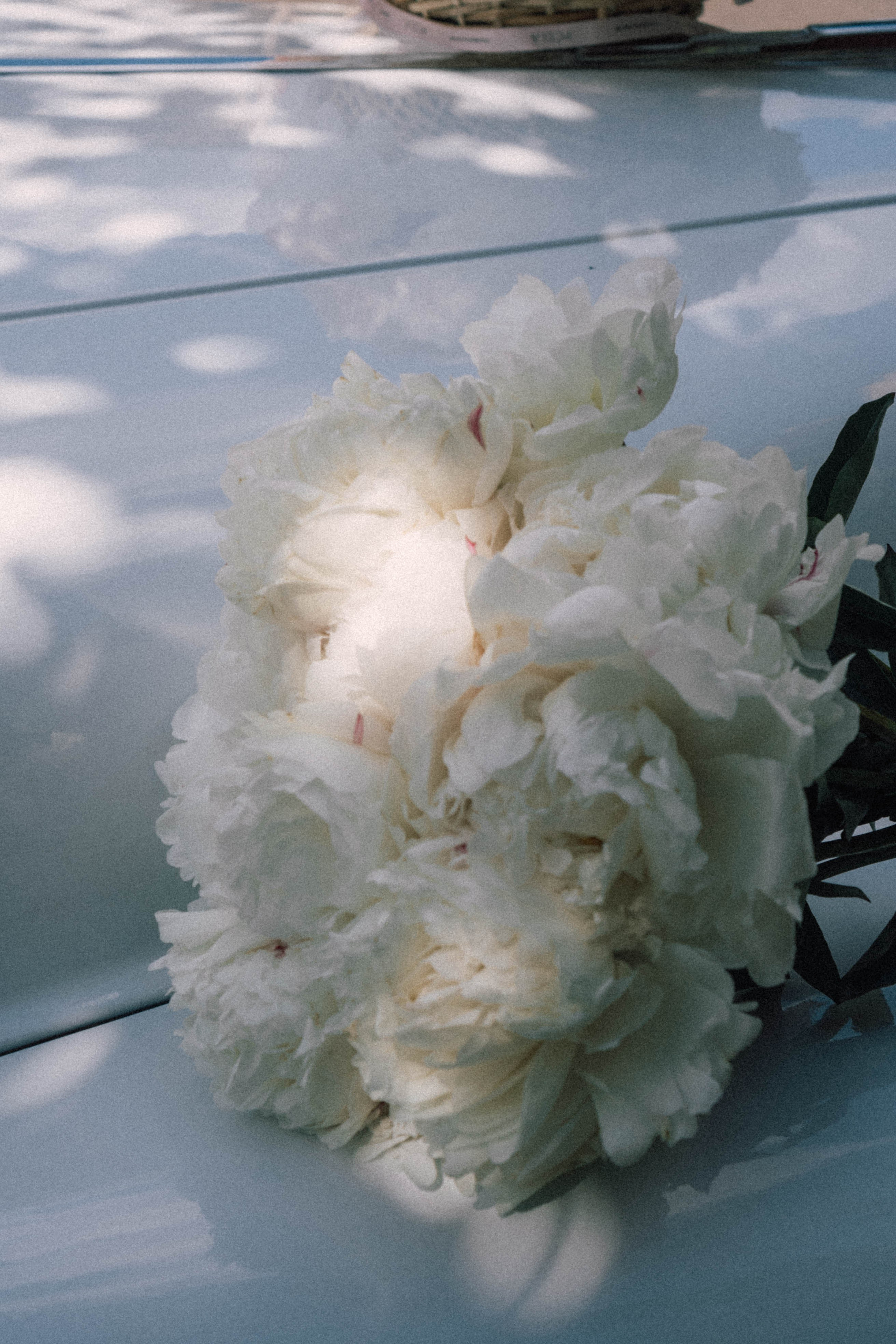 Винтажный стиль. Профессиональный фотограф, Санкт-Петербург — Виктория Богомолова