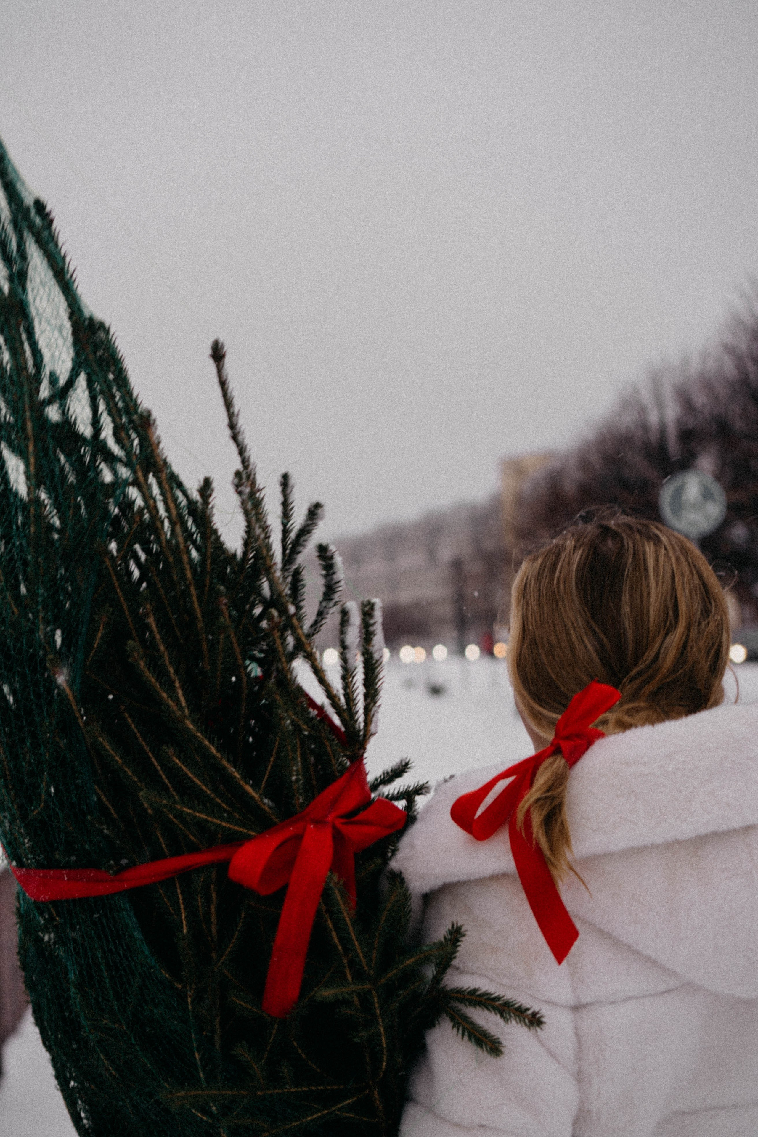 Новогодняя. Профессиональный фотограф, Санкт-Петербург — Виктория Богомолова